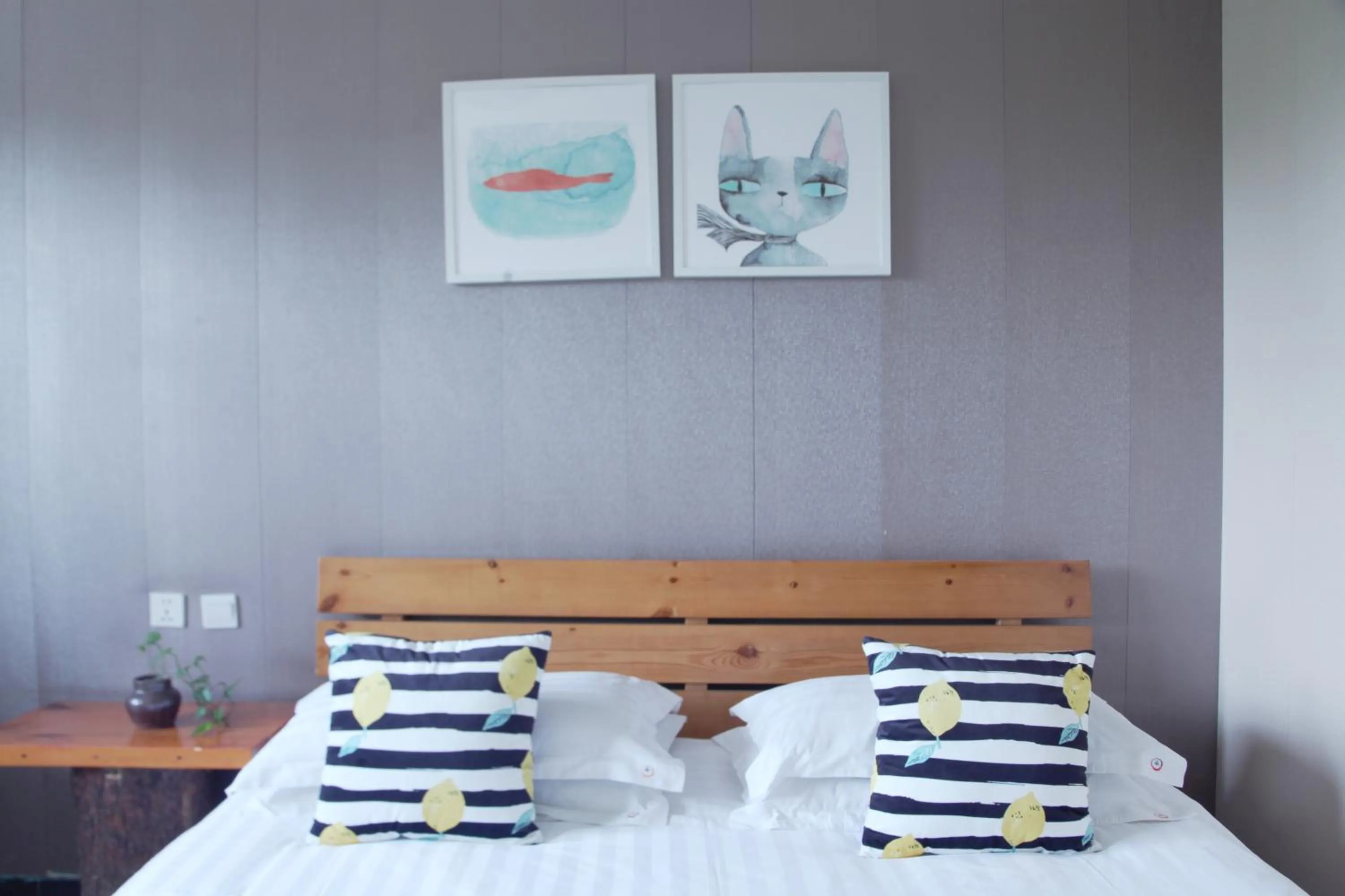 Chengdu Dreams Travel International Youth Hostel