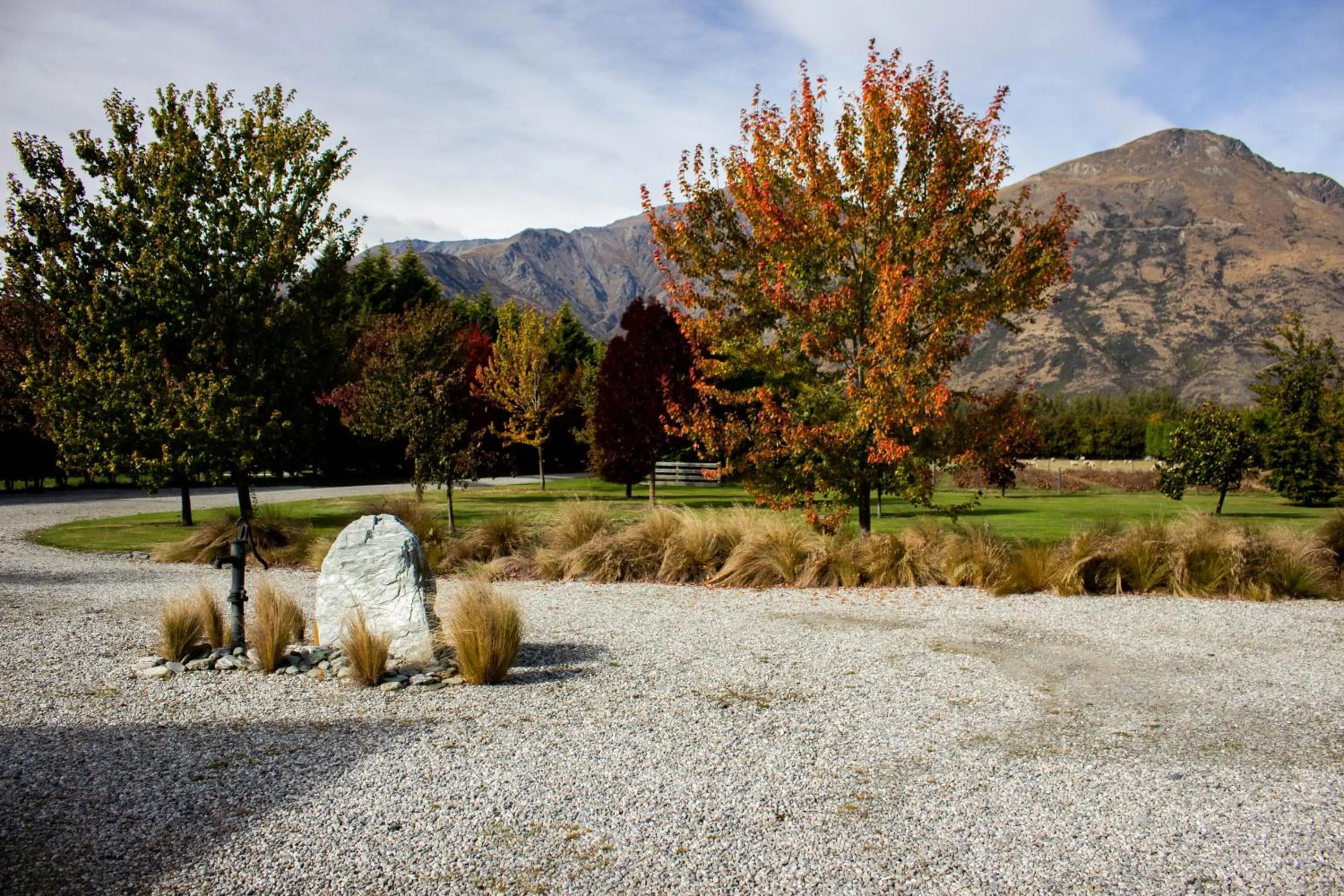 Natural landscape in Queenstown Country Lodge