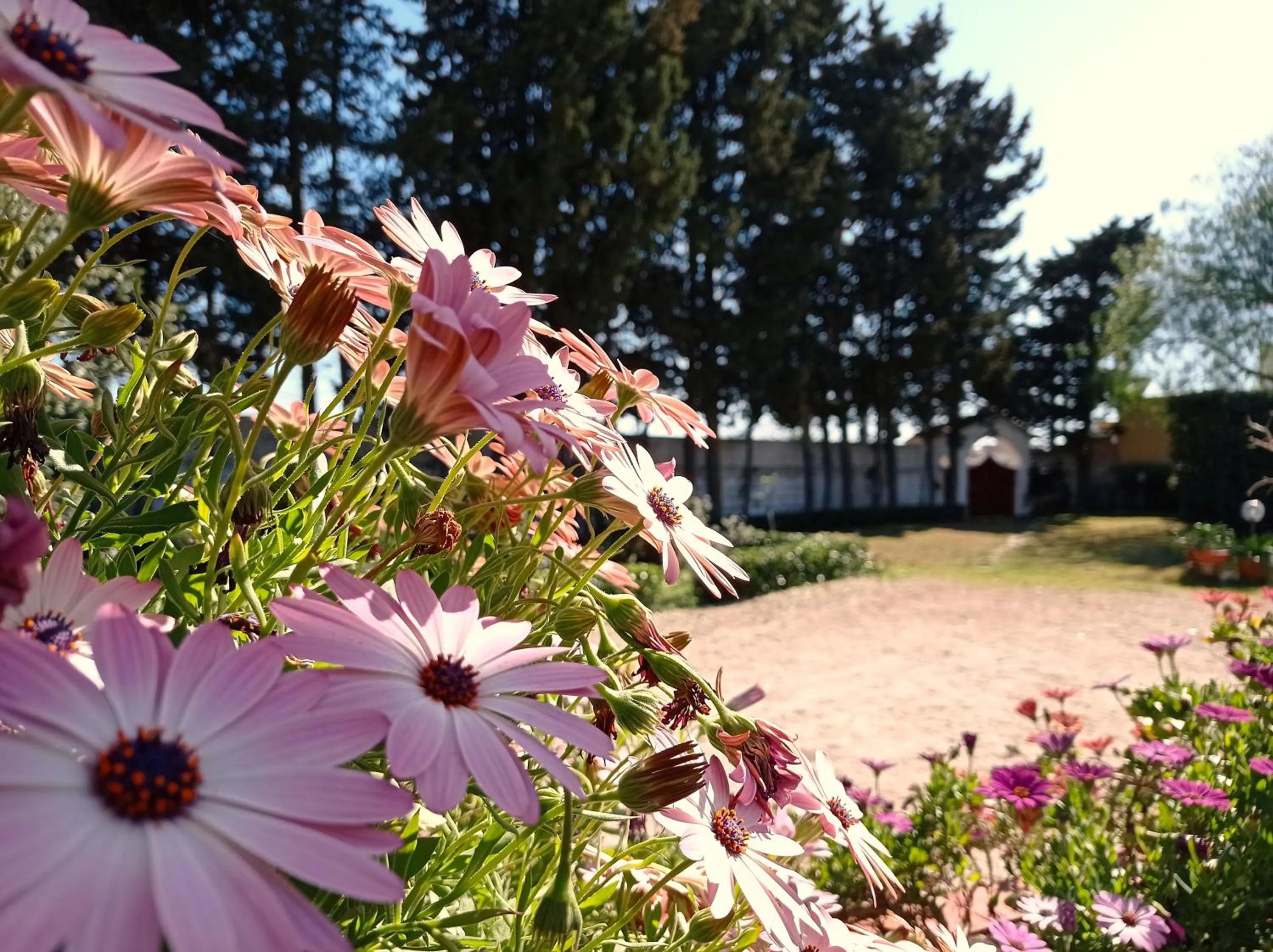 Garden in Gli Archi Country Home