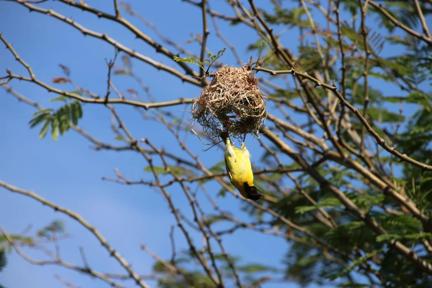 Tranquillity Day Spa & Lodge