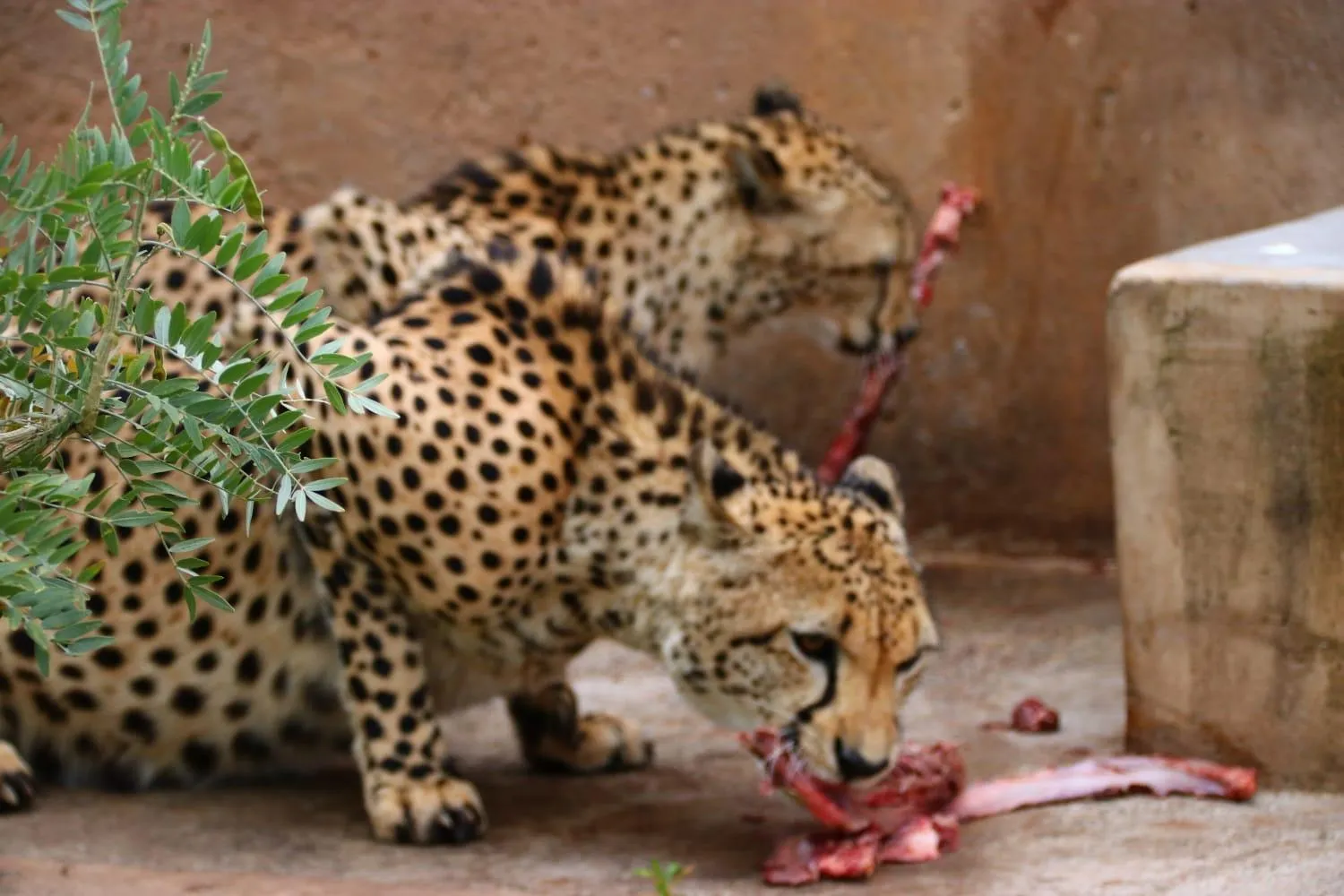 Tranquillity Day Spa & Lodge