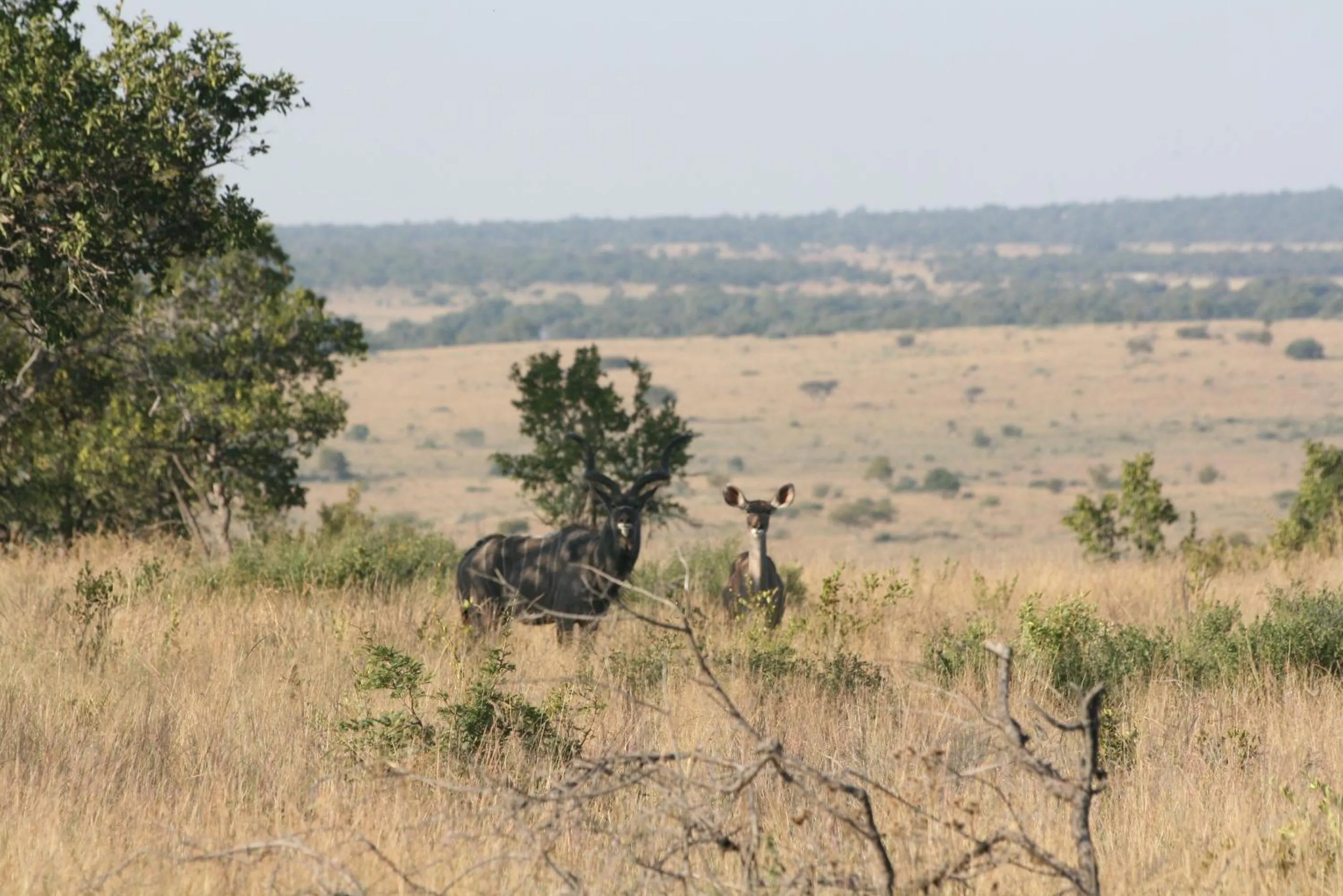 Tranquillity Day Spa & Lodge