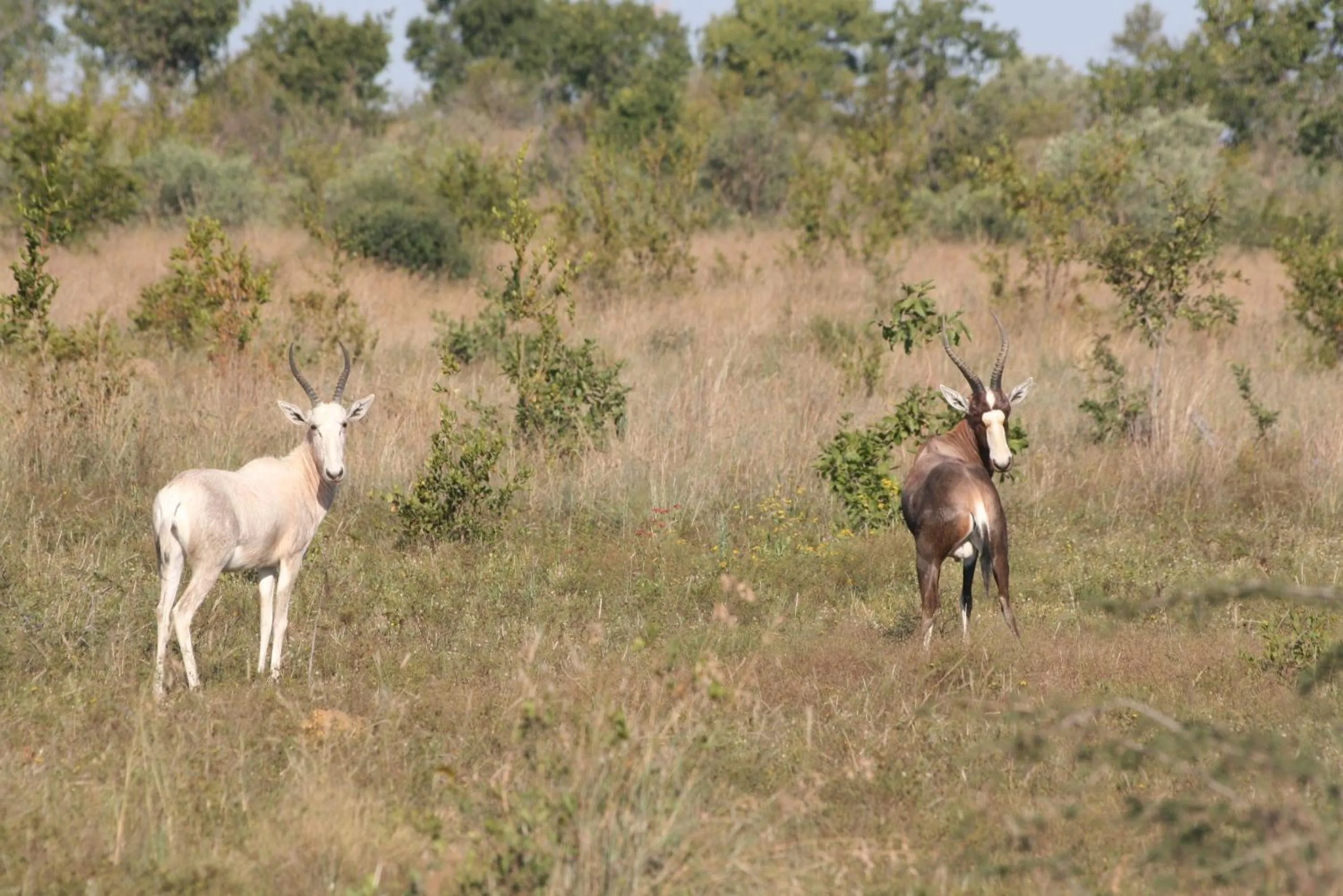 Tranquillity Day Spa & Lodge