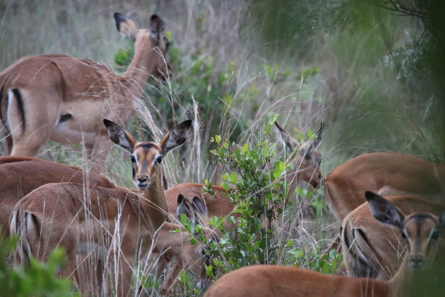 Tranquillity Day Spa & Lodge