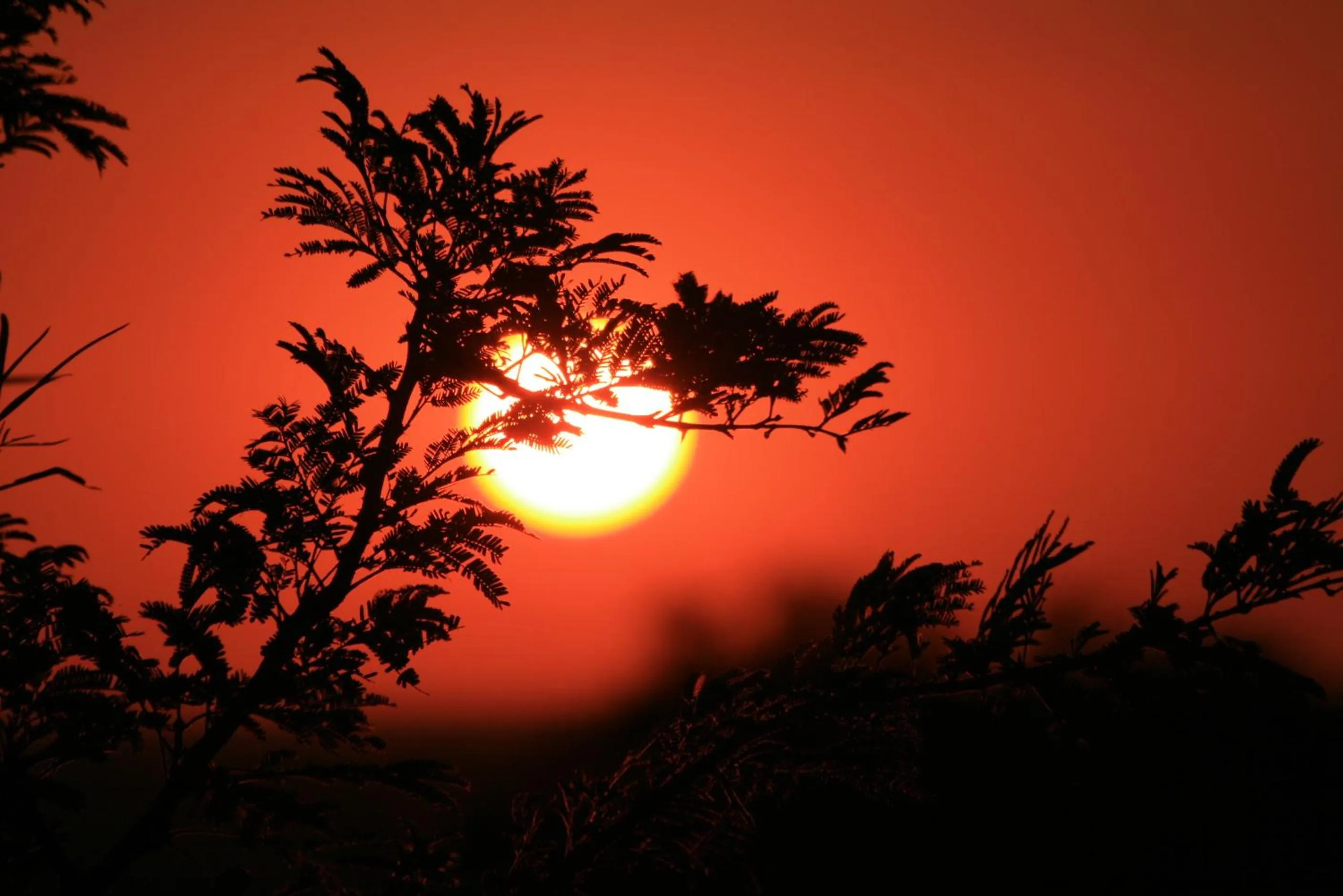 Tranquillity Day Spa & Lodge