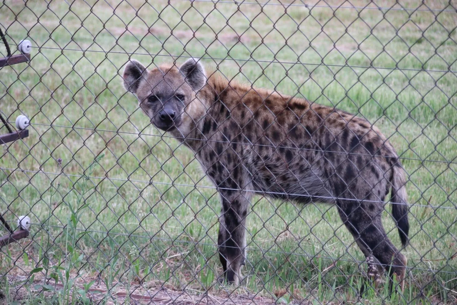 Tranquillity Day Spa & Lodge