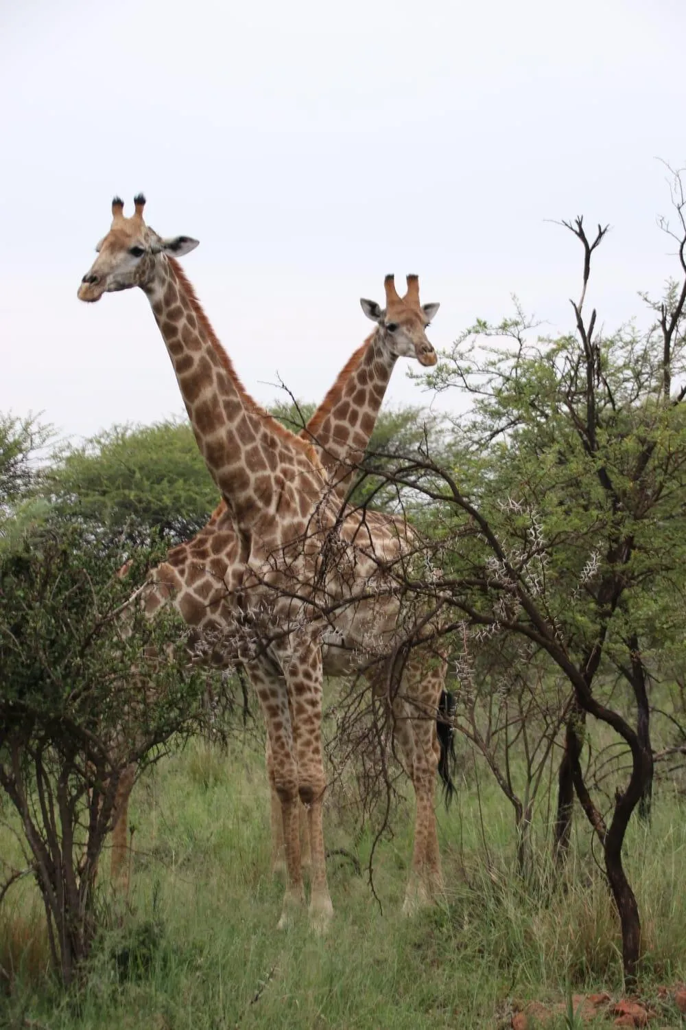 Tranquillity Day Spa & Lodge