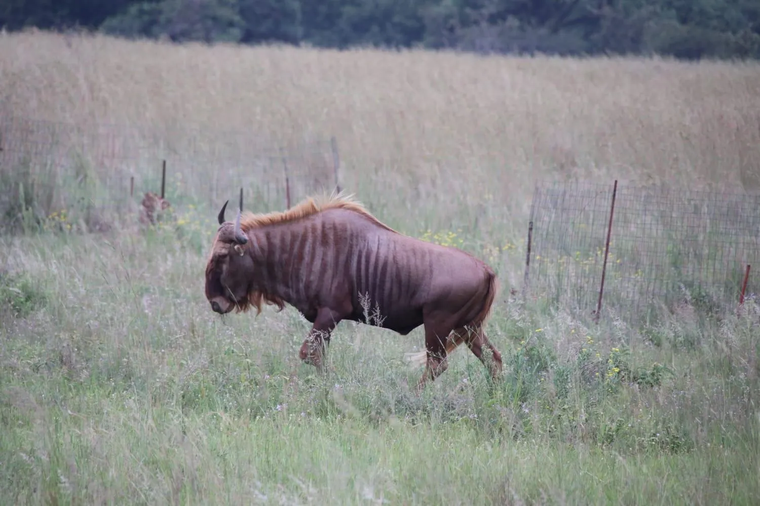 Tranquillity Day Spa & Lodge