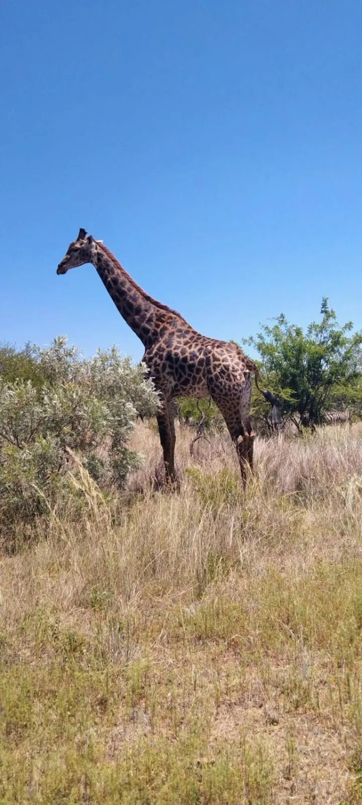 Tranquillity Day Spa & Lodge