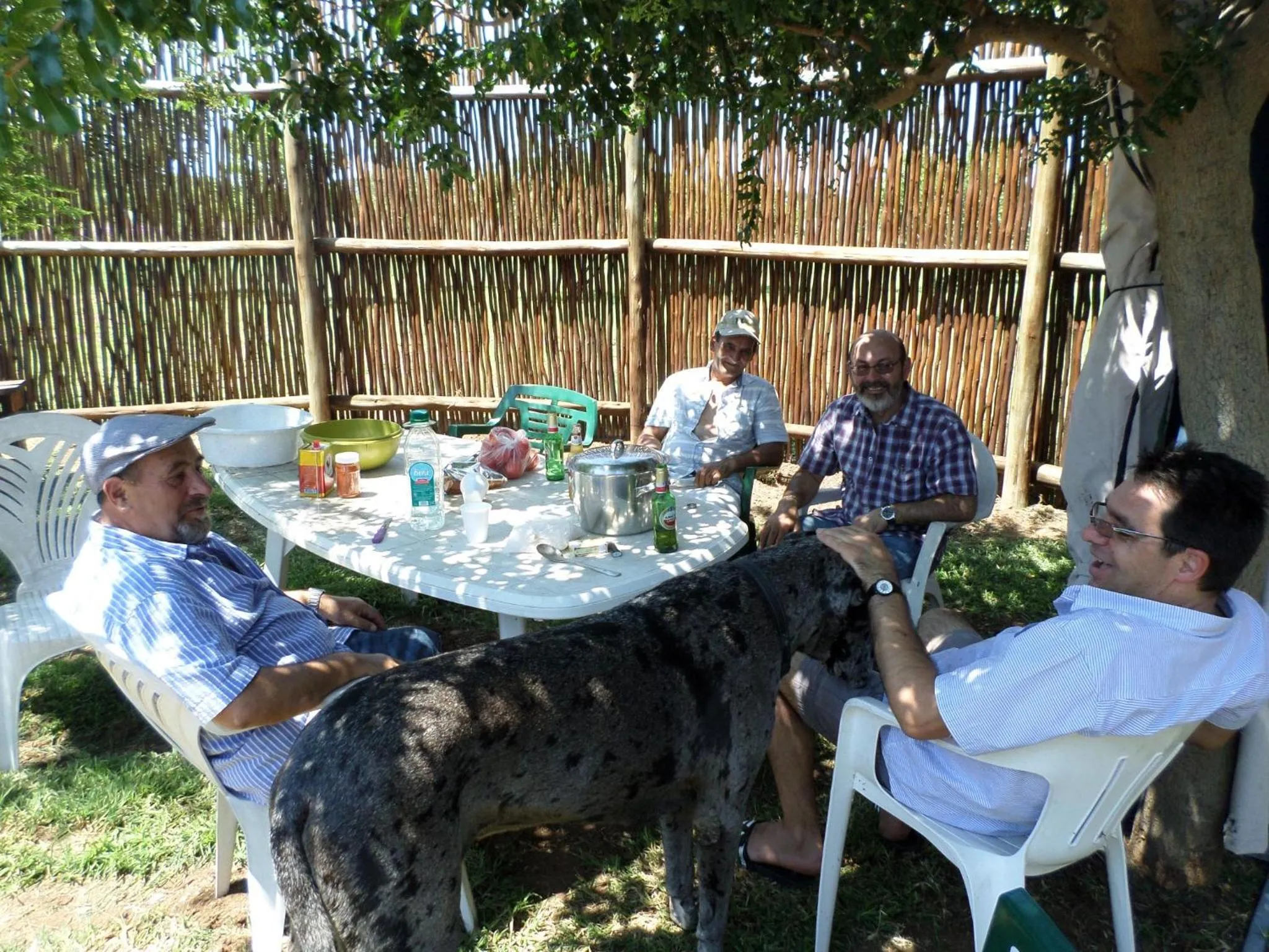 Tranquillity Day Spa & Lodge