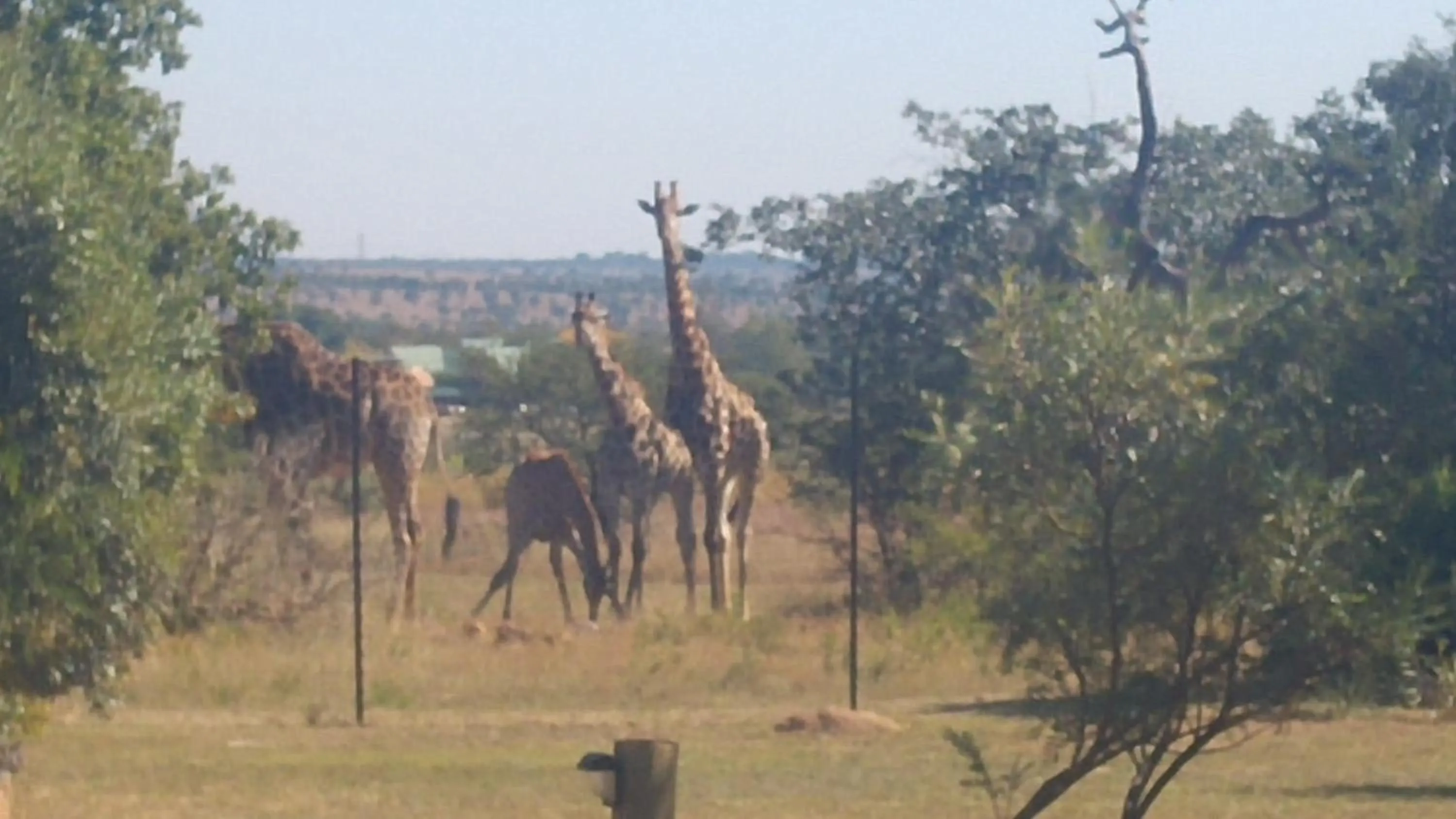 Tranquillity Day Spa & Lodge