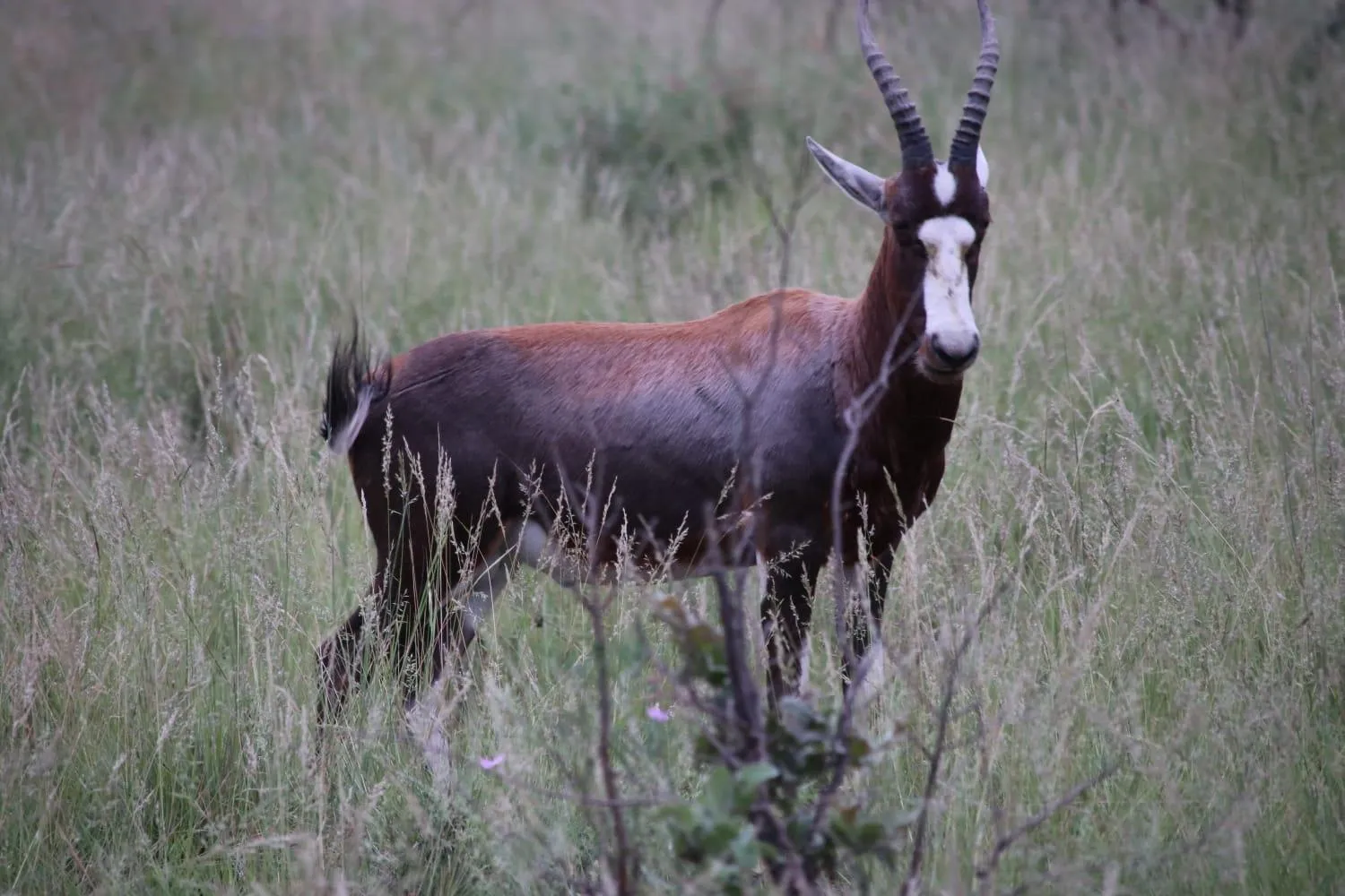 Tranquillity Day Spa & Lodge