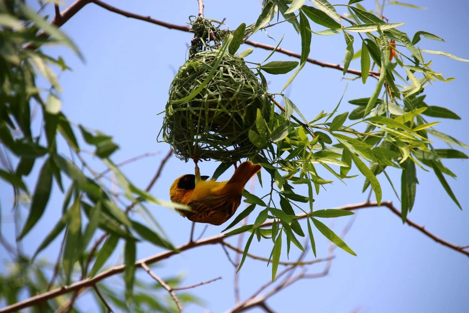 Tranquillity Day Spa & Lodge