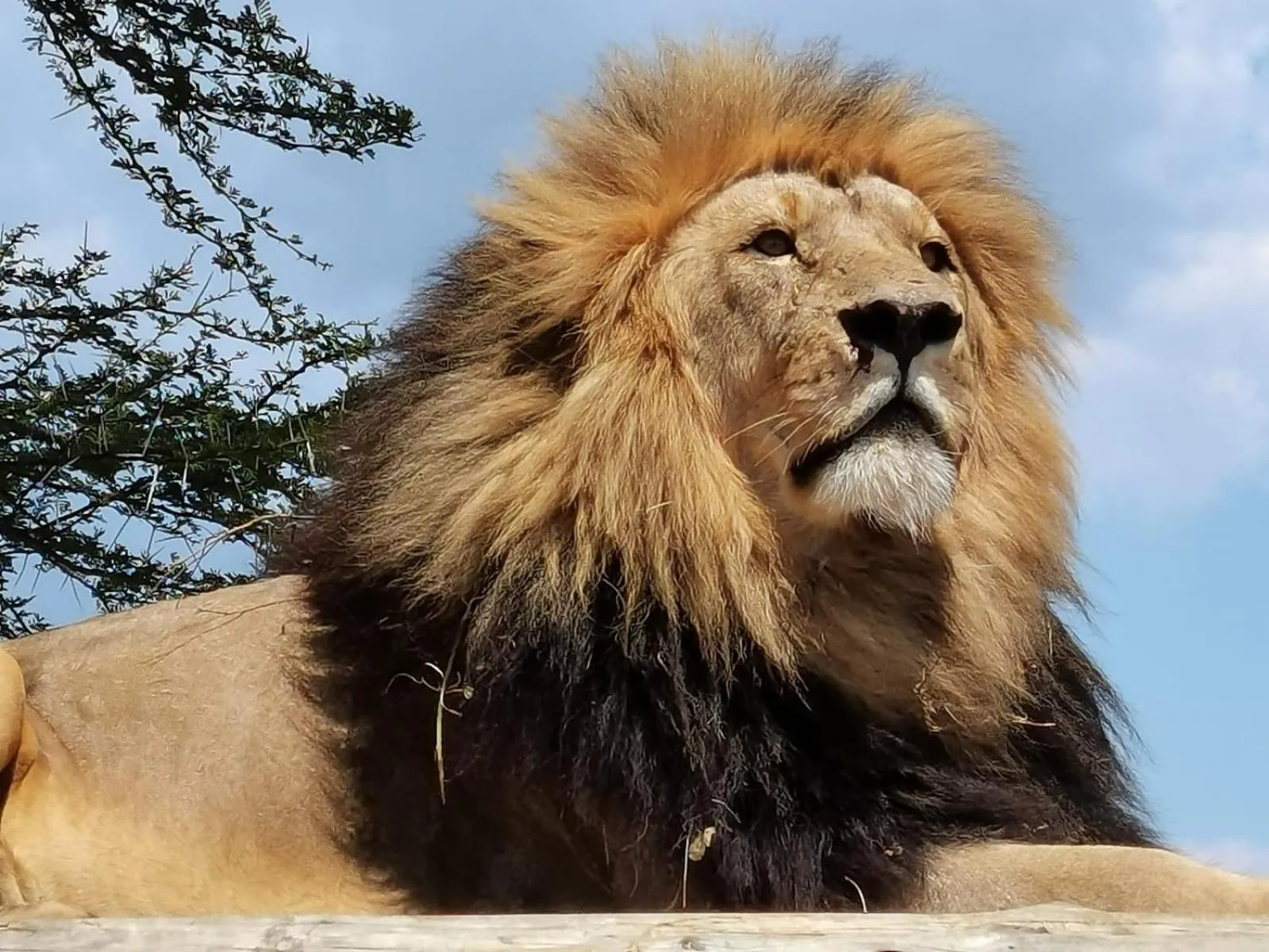 Tranquillity Day Spa & Lodge