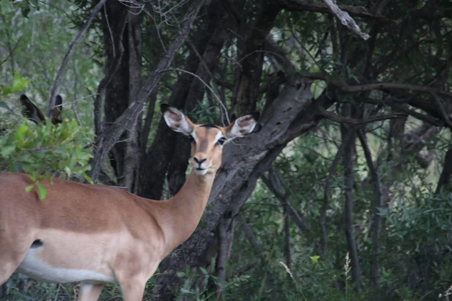 Tranquillity Day Spa & Lodge