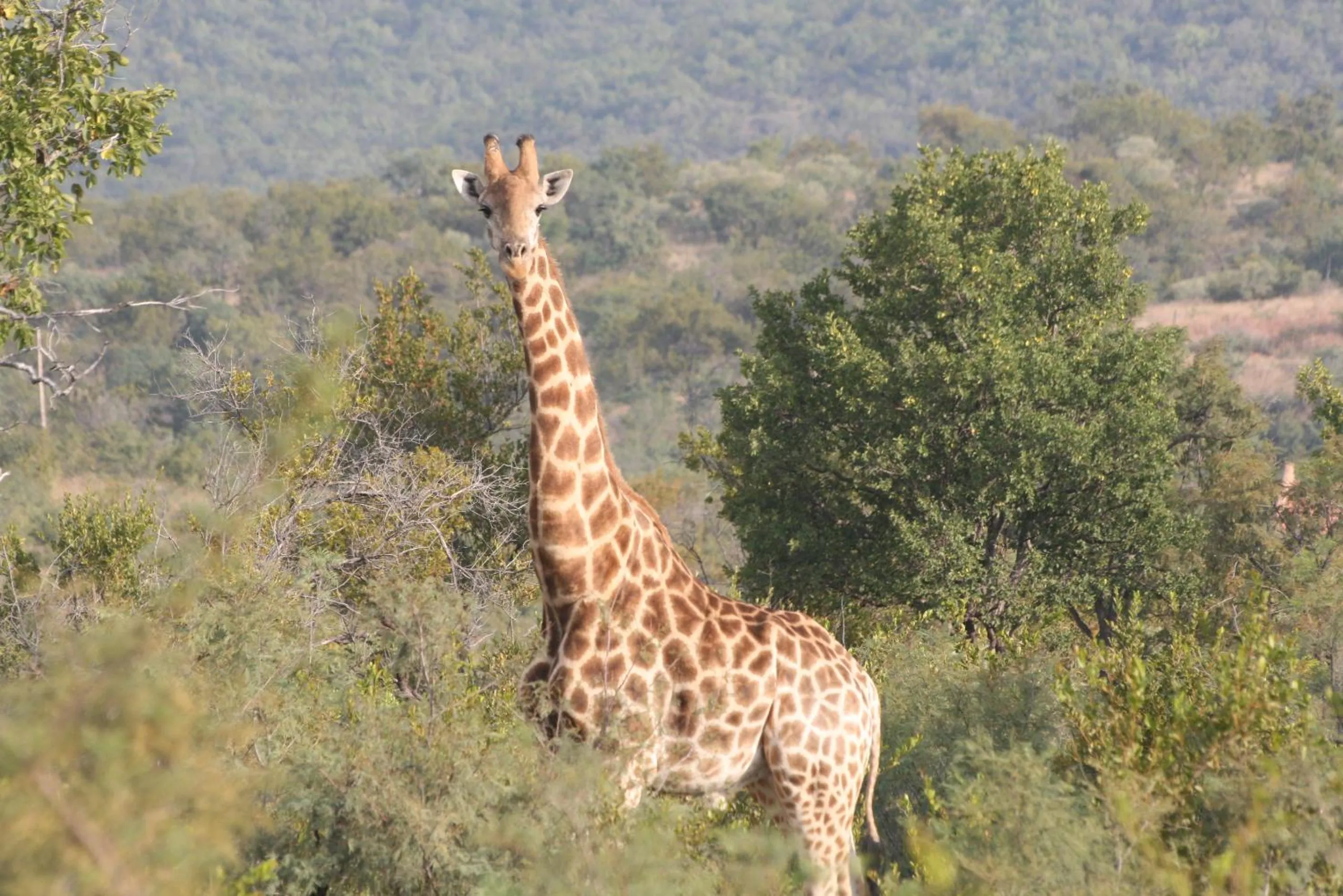 Tranquillity Day Spa & Lodge