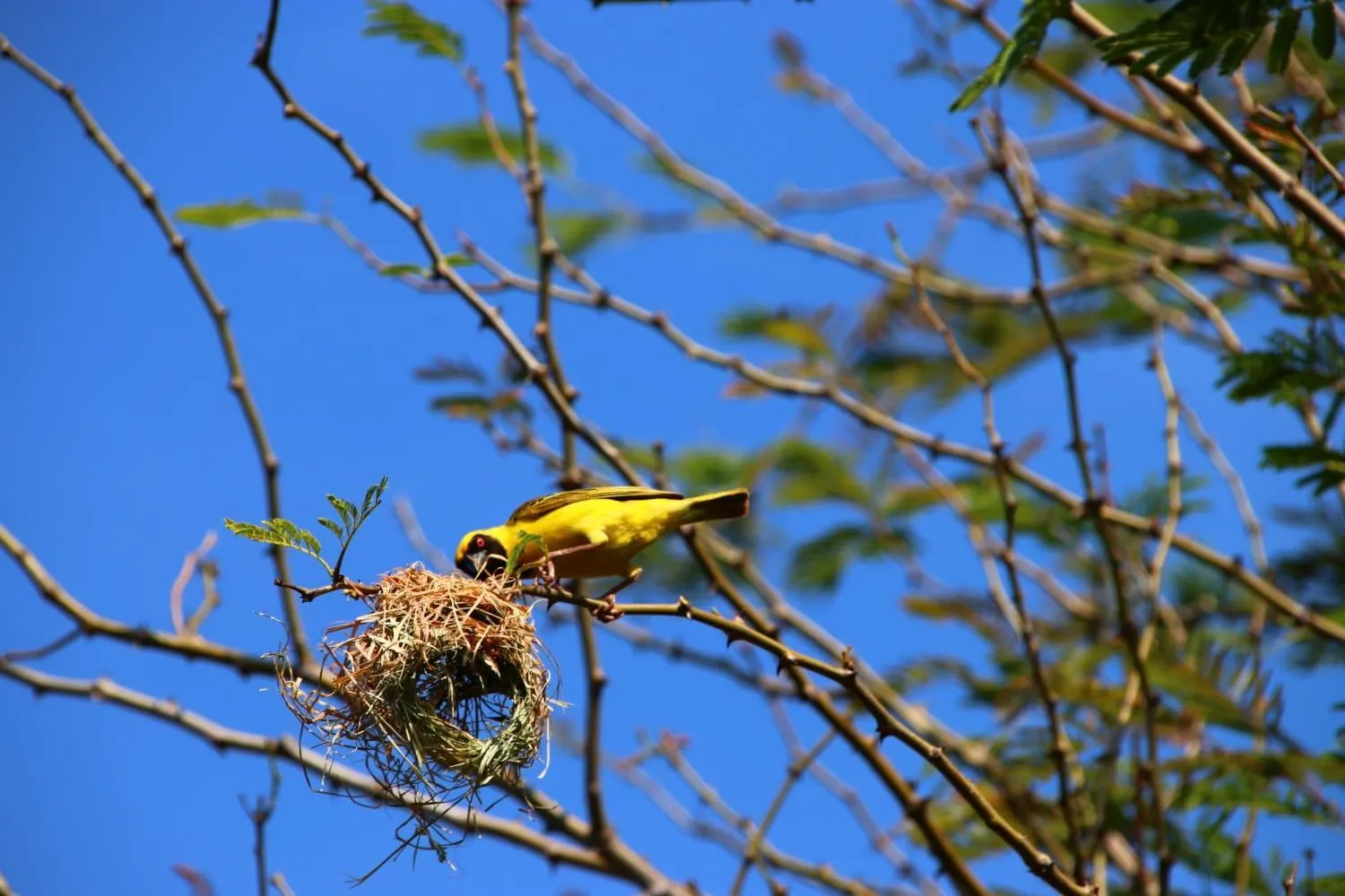 Tranquillity Day Spa & Lodge