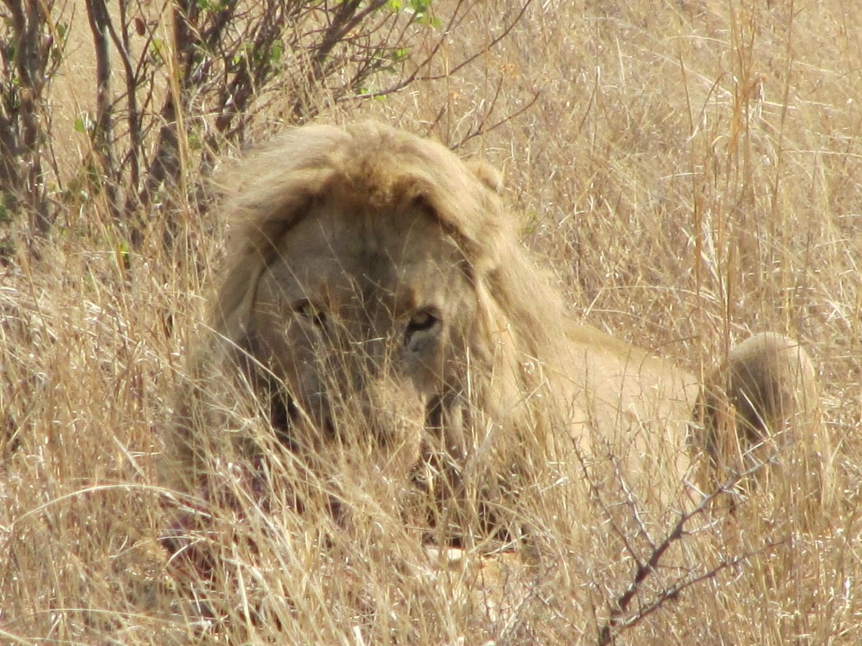 Tranquillity Day Spa & Lodge