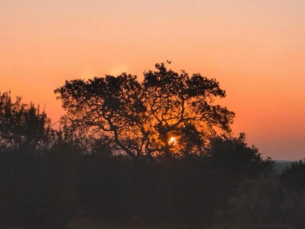 Tranquillity Day Spa & Lodge