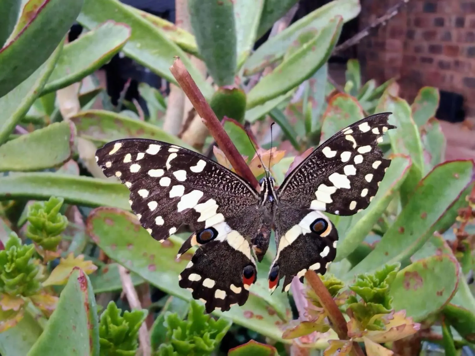 Tranquillity Day Spa & Lodge