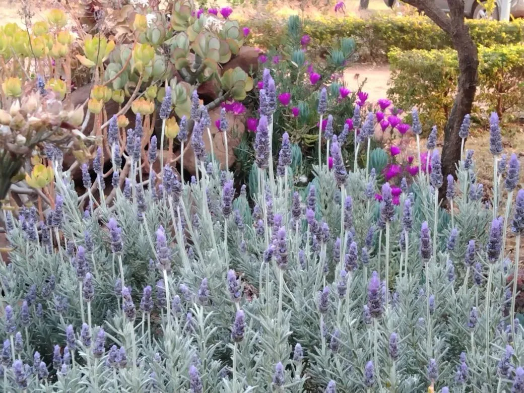 Tranquillity Day Spa & Lodge