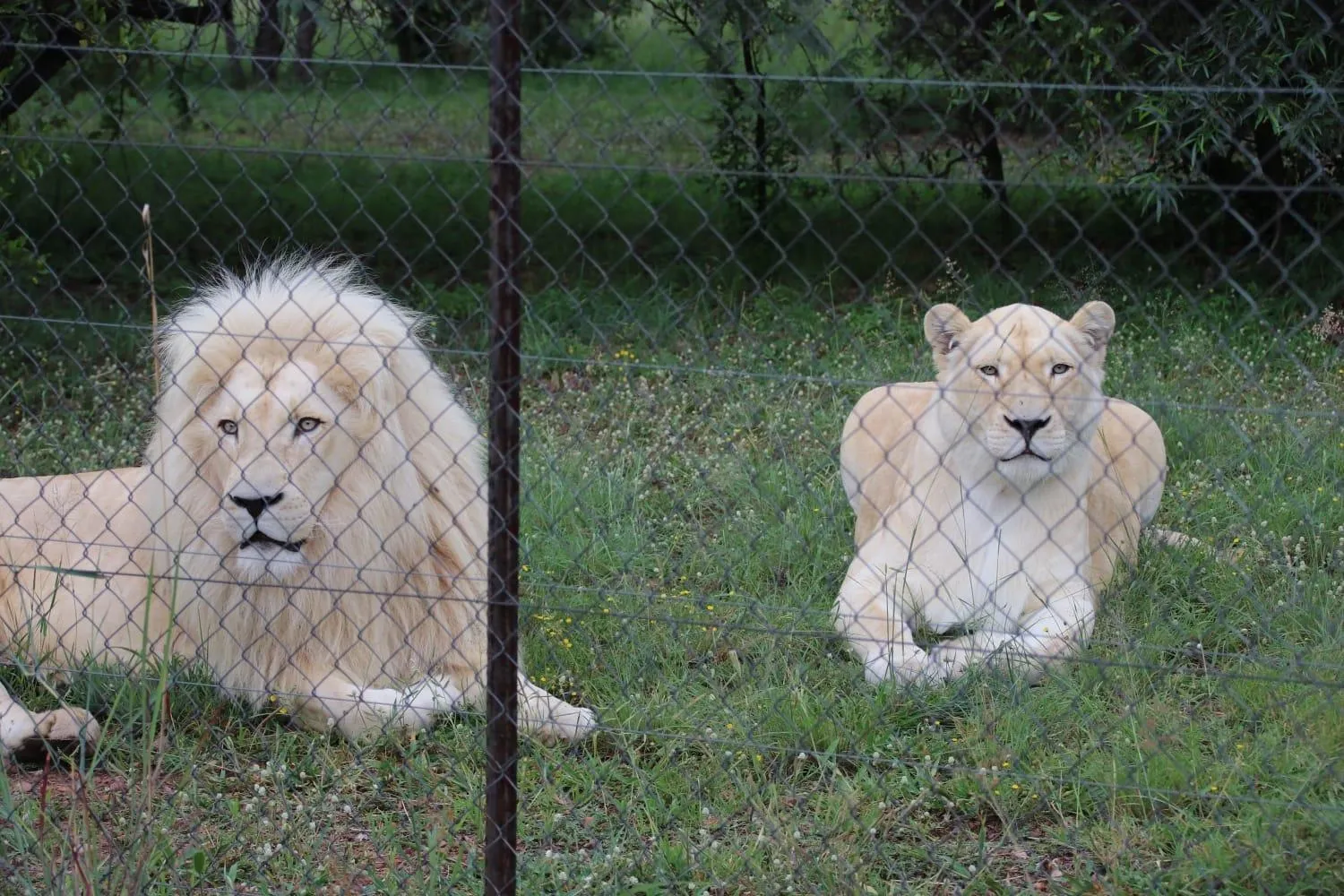Tranquillity Day Spa & Lodge