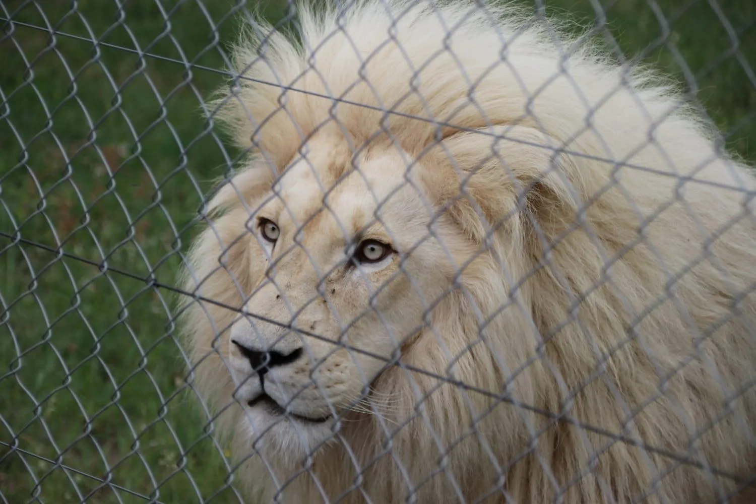 Tranquillity Day Spa & Lodge