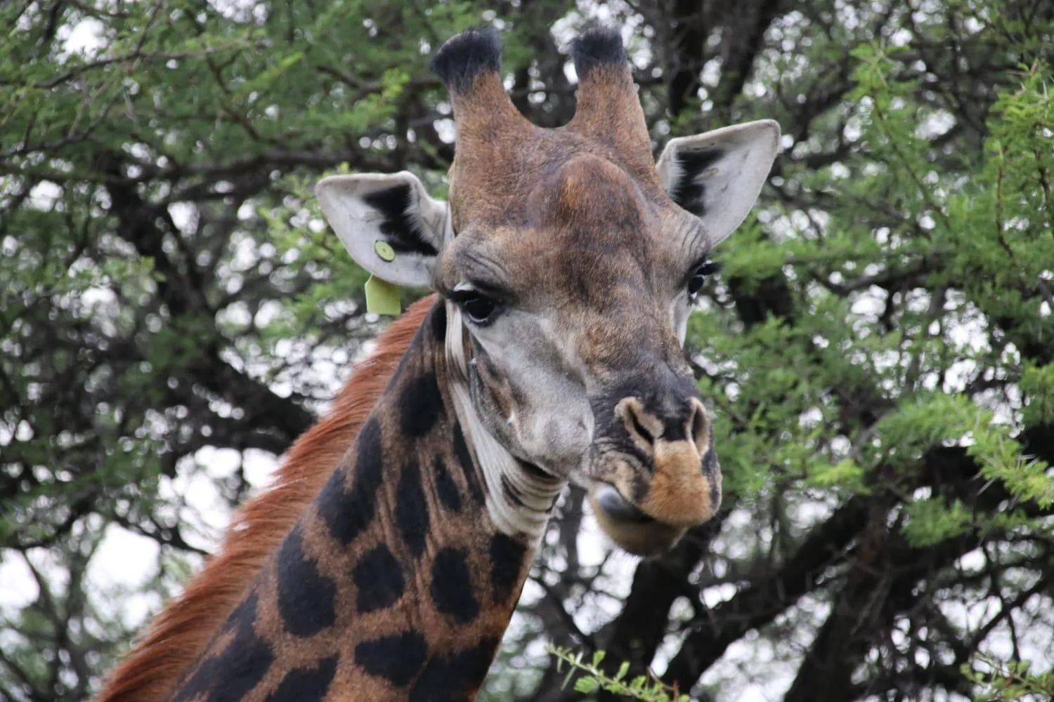 Tranquillity Day Spa & Lodge