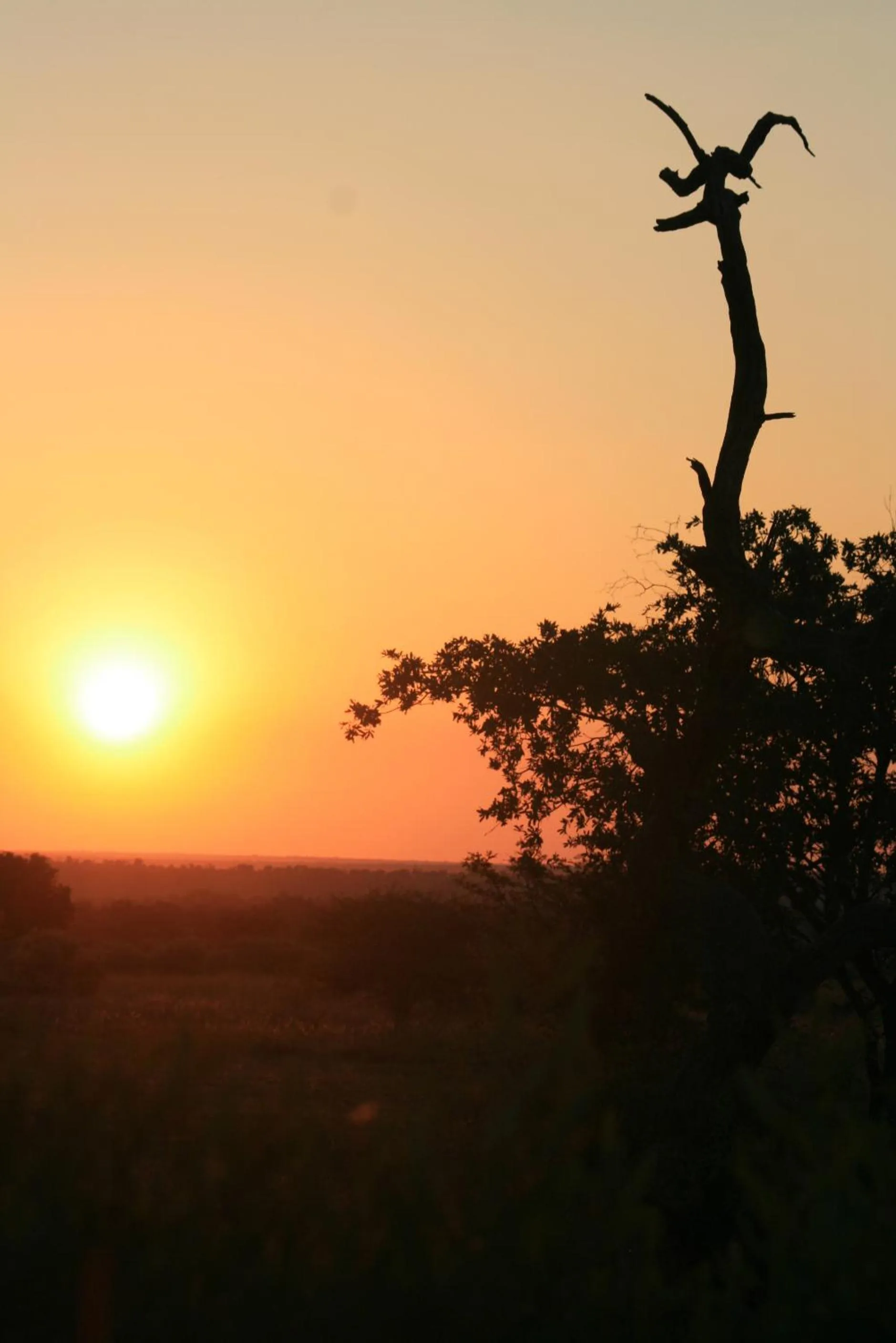 Tranquillity Day Spa & Lodge