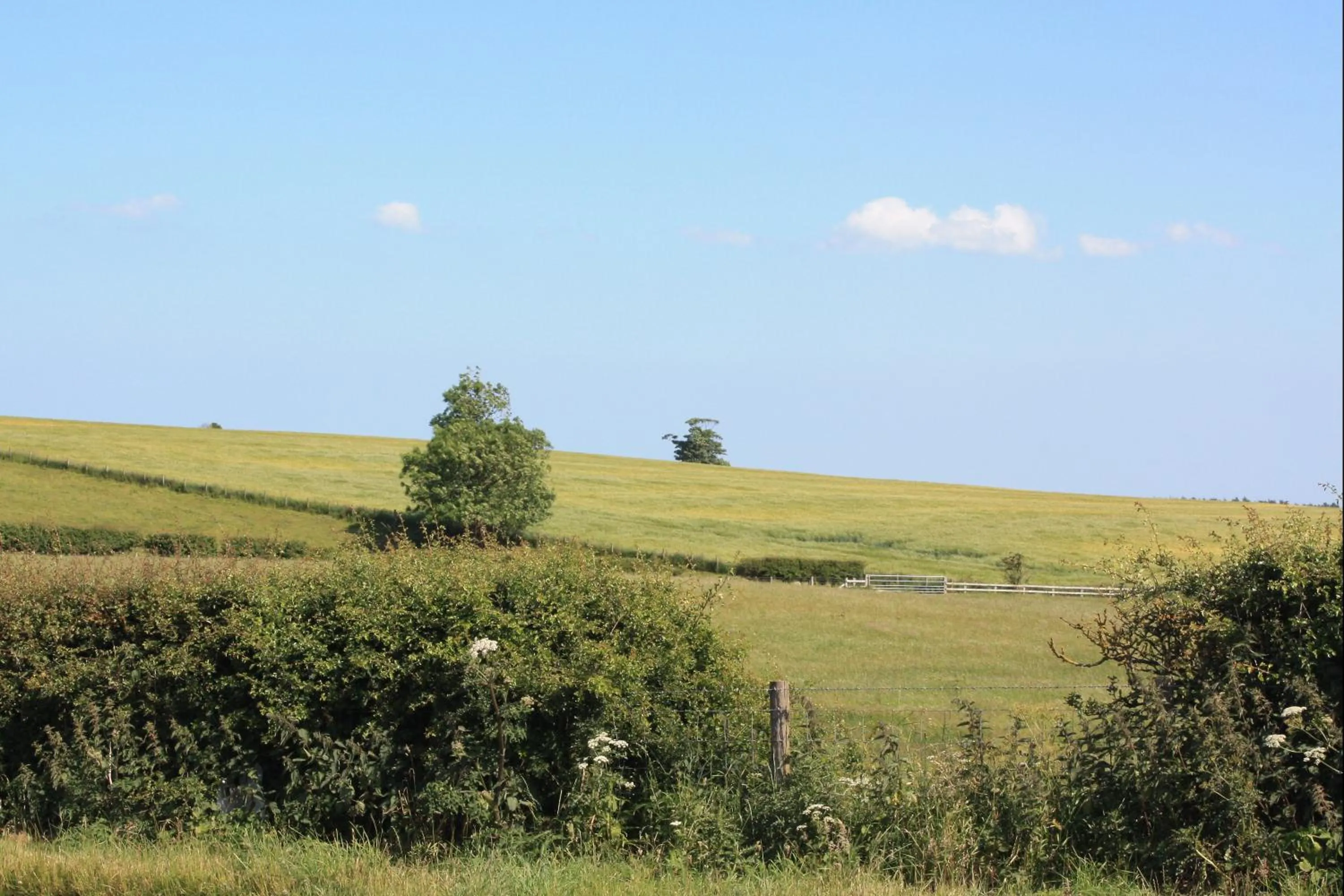 Area and facilities in Purdy Lodge