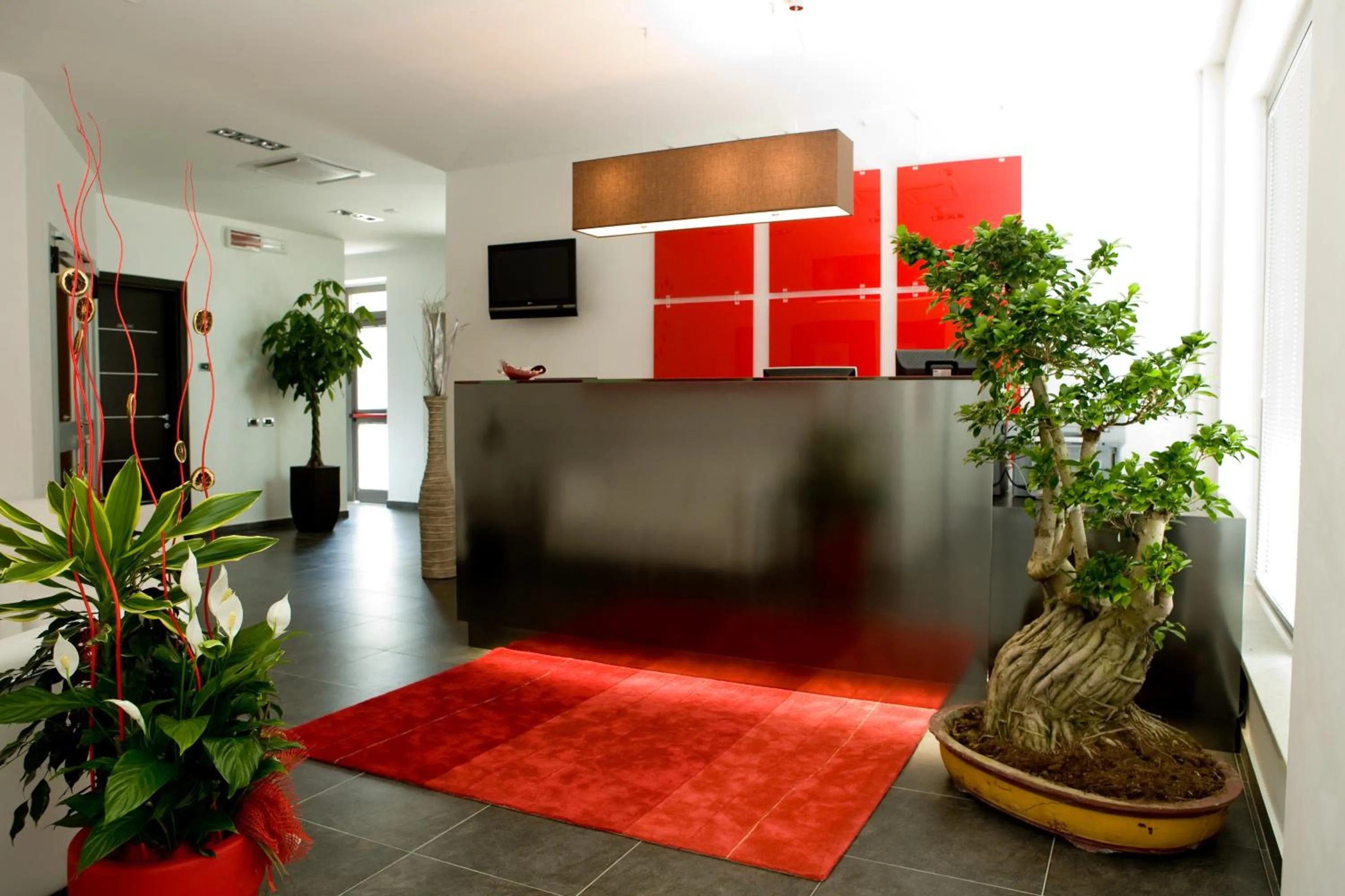 Lobby or reception in Hotel Napoleon