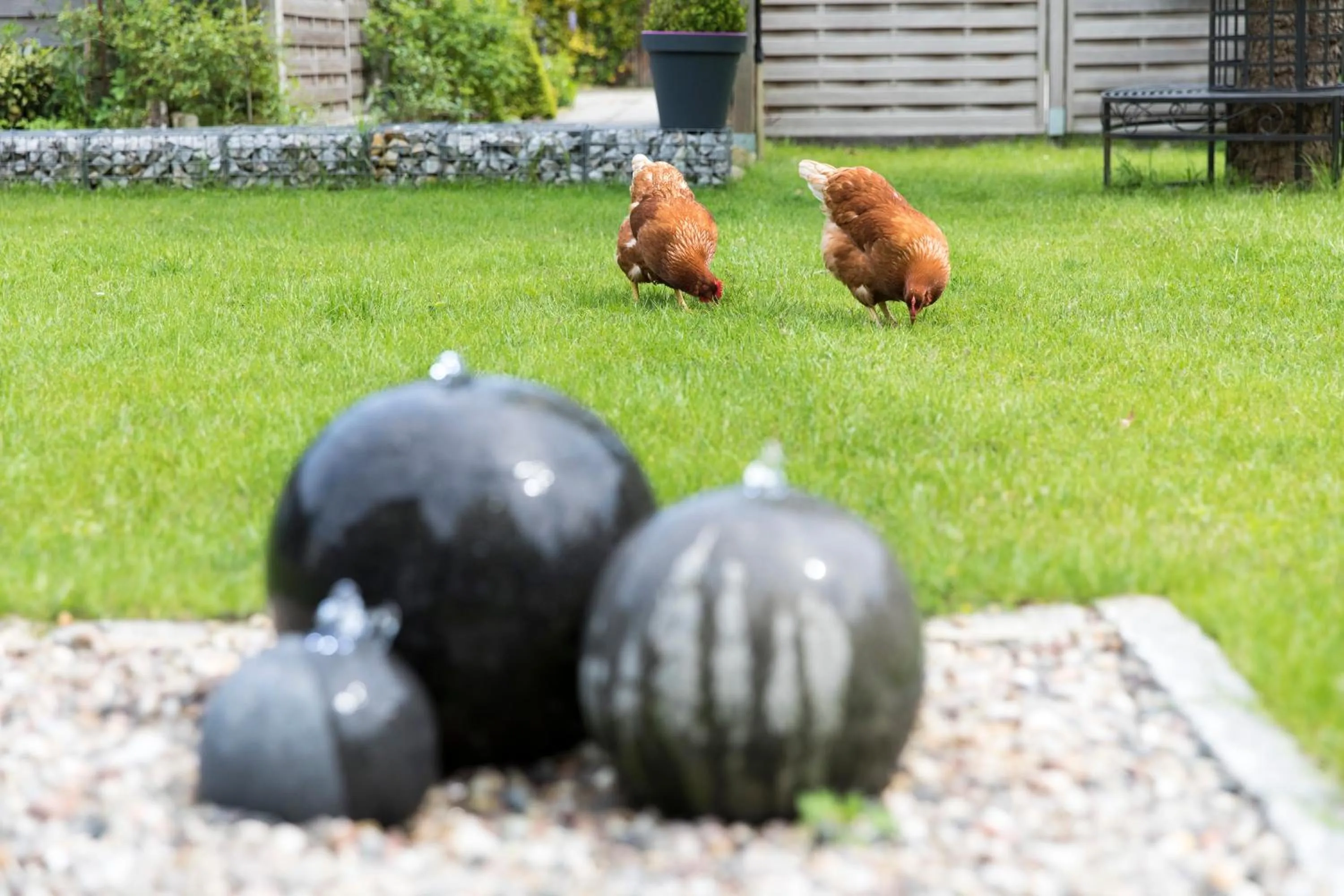 Garden in Hotel Hildebrandt's