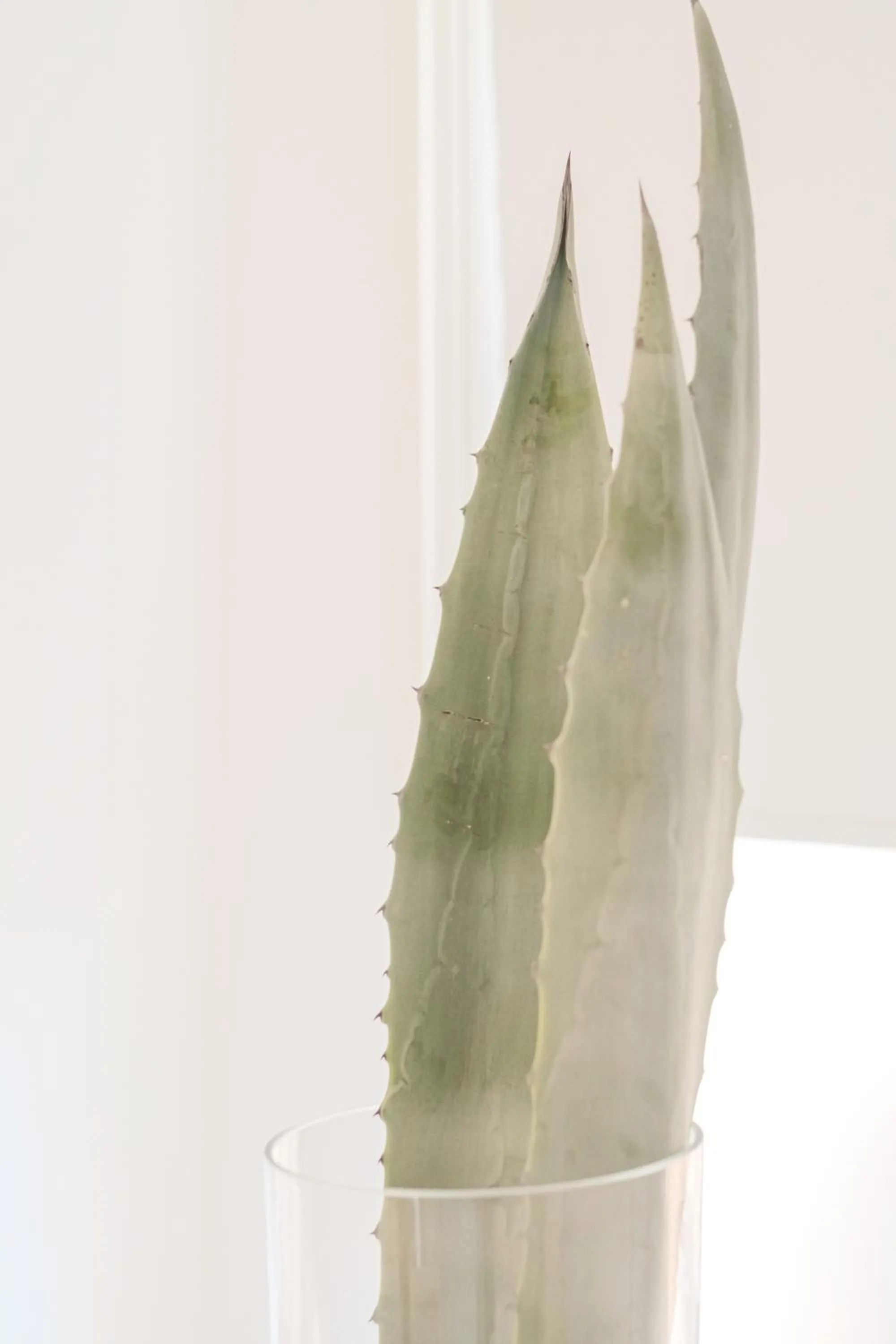 Decorative detail in Maison R Boutique