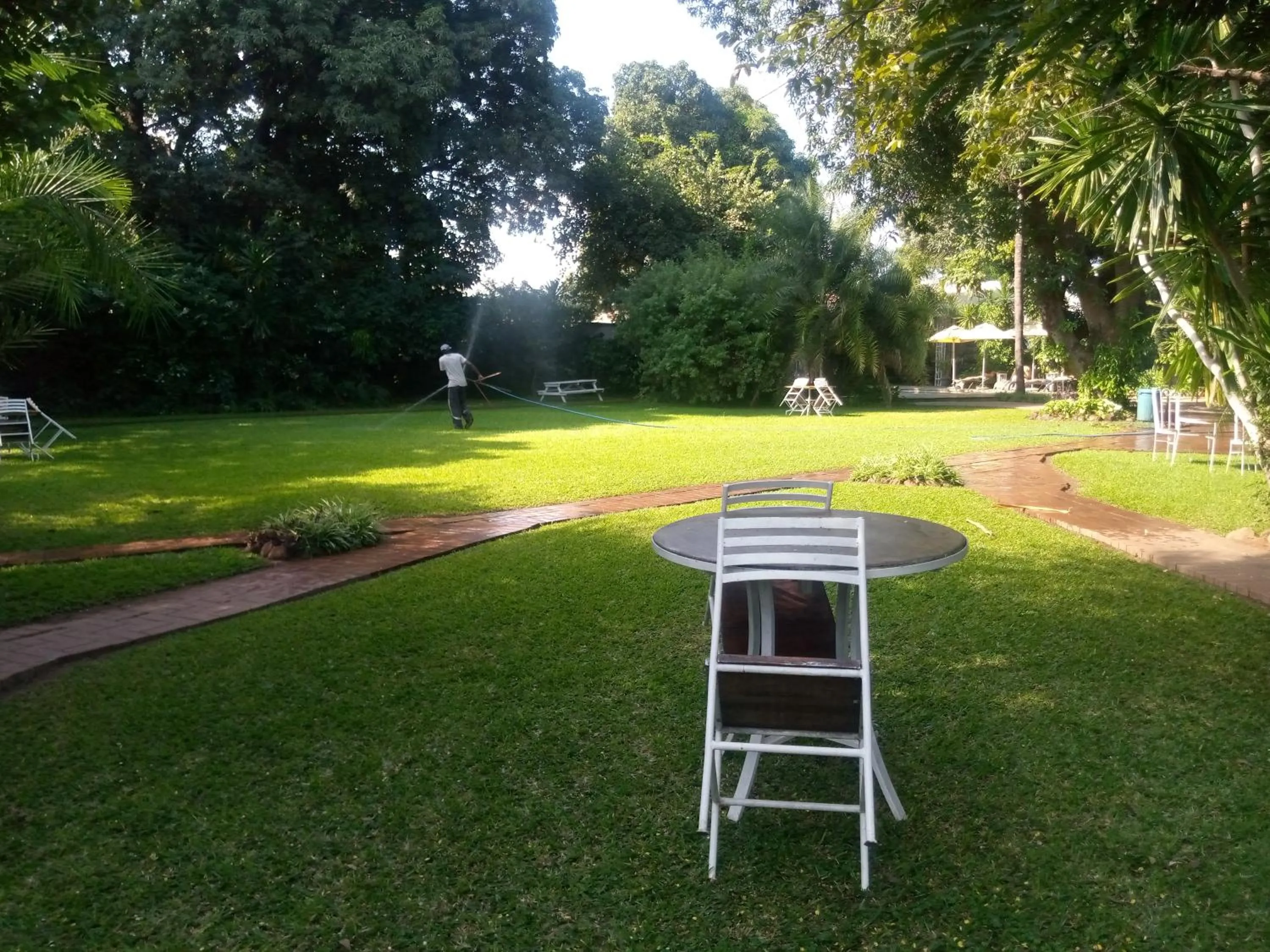 Spring in Fawlty Towers Accommodation & Activities