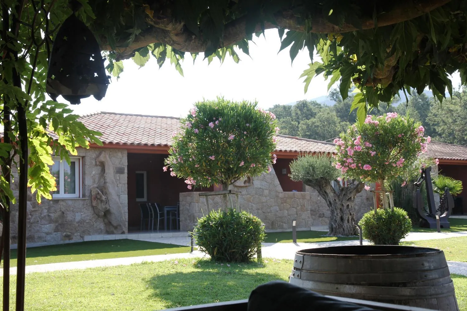 Garden in Résidence Dolce Vita de Palombaggia