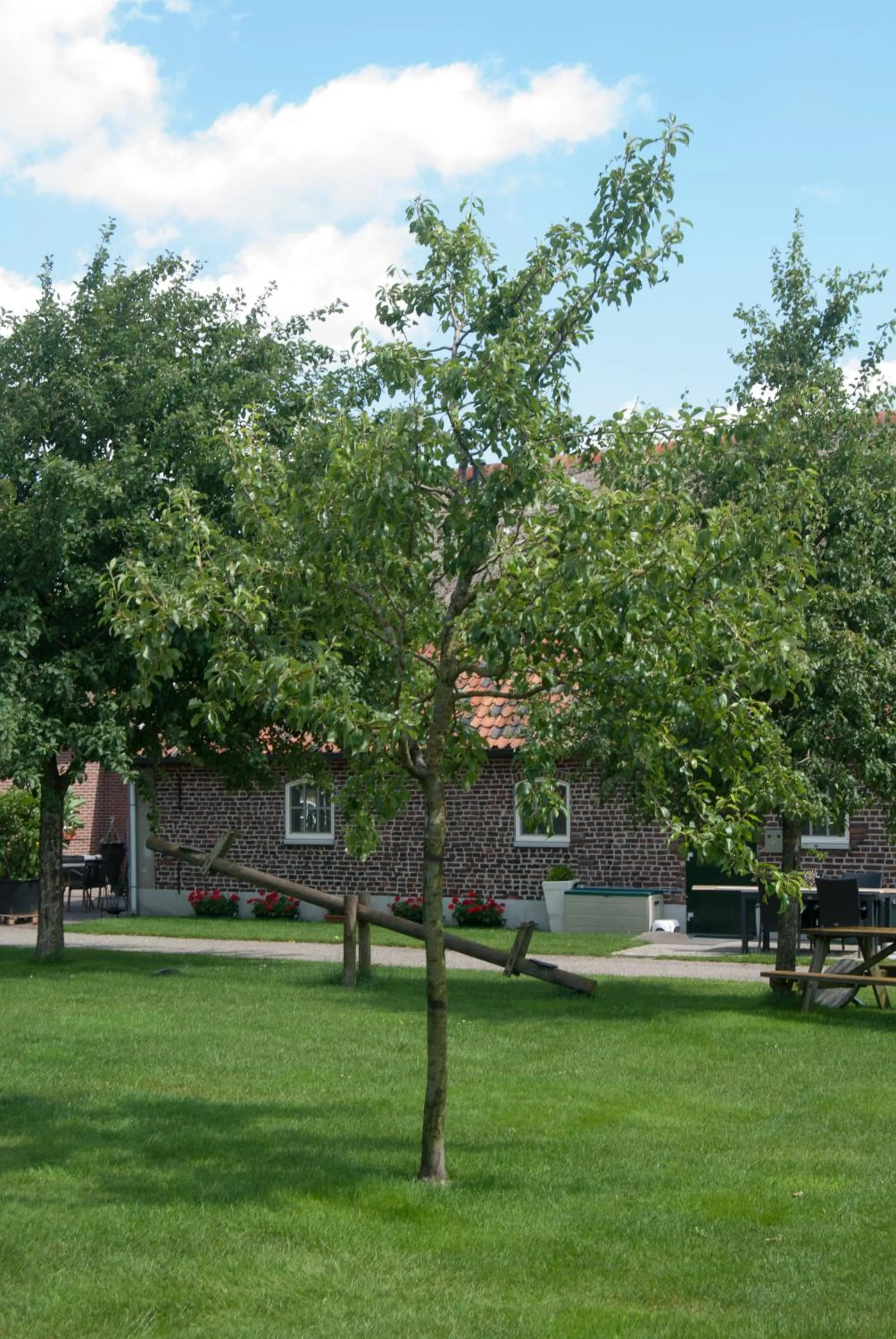 Garden in De Martiene Plats - Bed & Breakfast