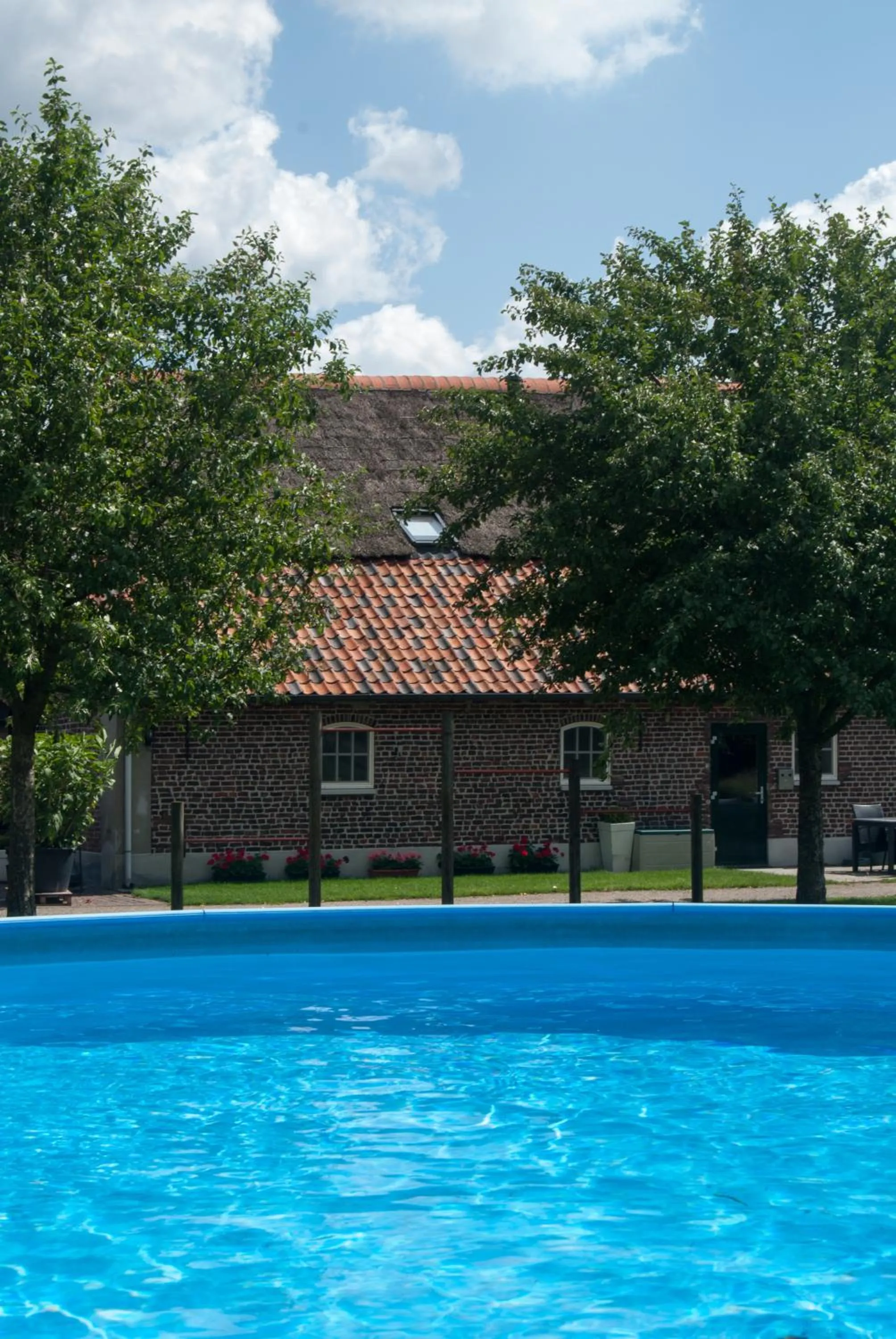 Swimming pool in De Martiene Plats - Bed & Breakfast