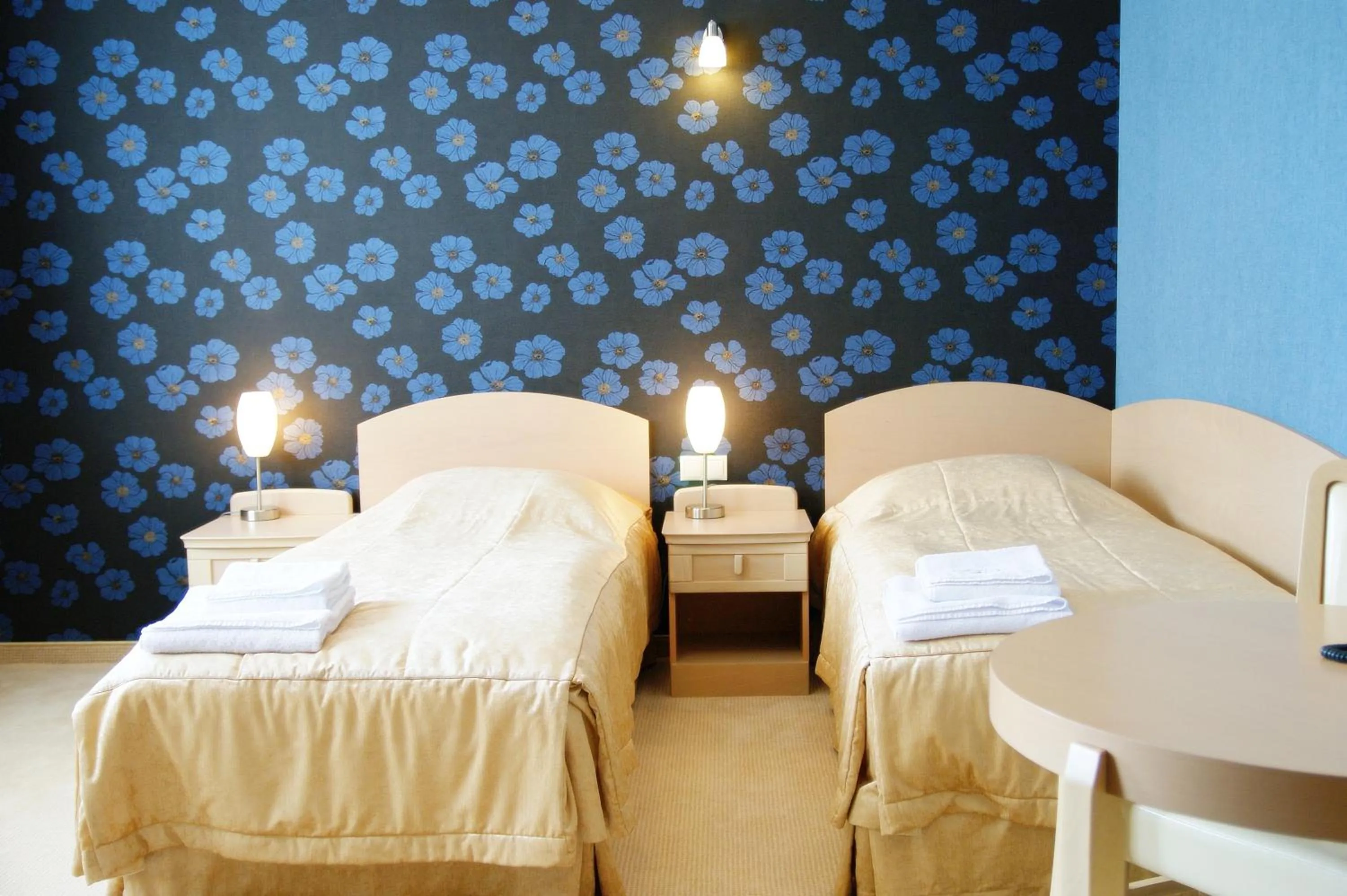 Photo of the whole room in Hotel Fajkier