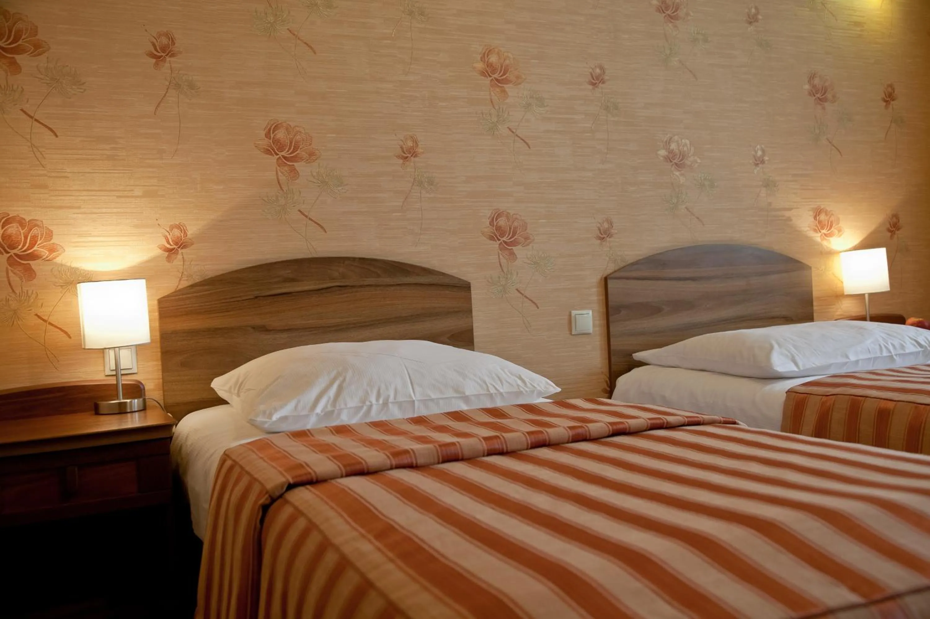 Photo of the whole room in Hotel Fajkier