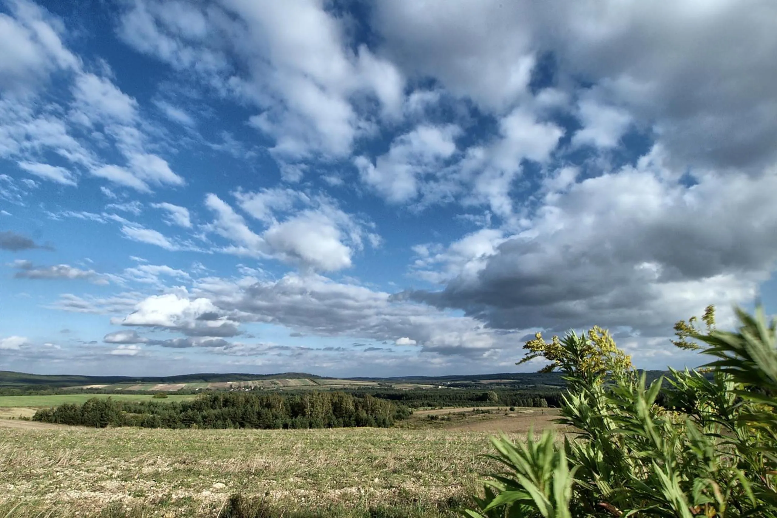 Natural landscape in Hotel Fajkier