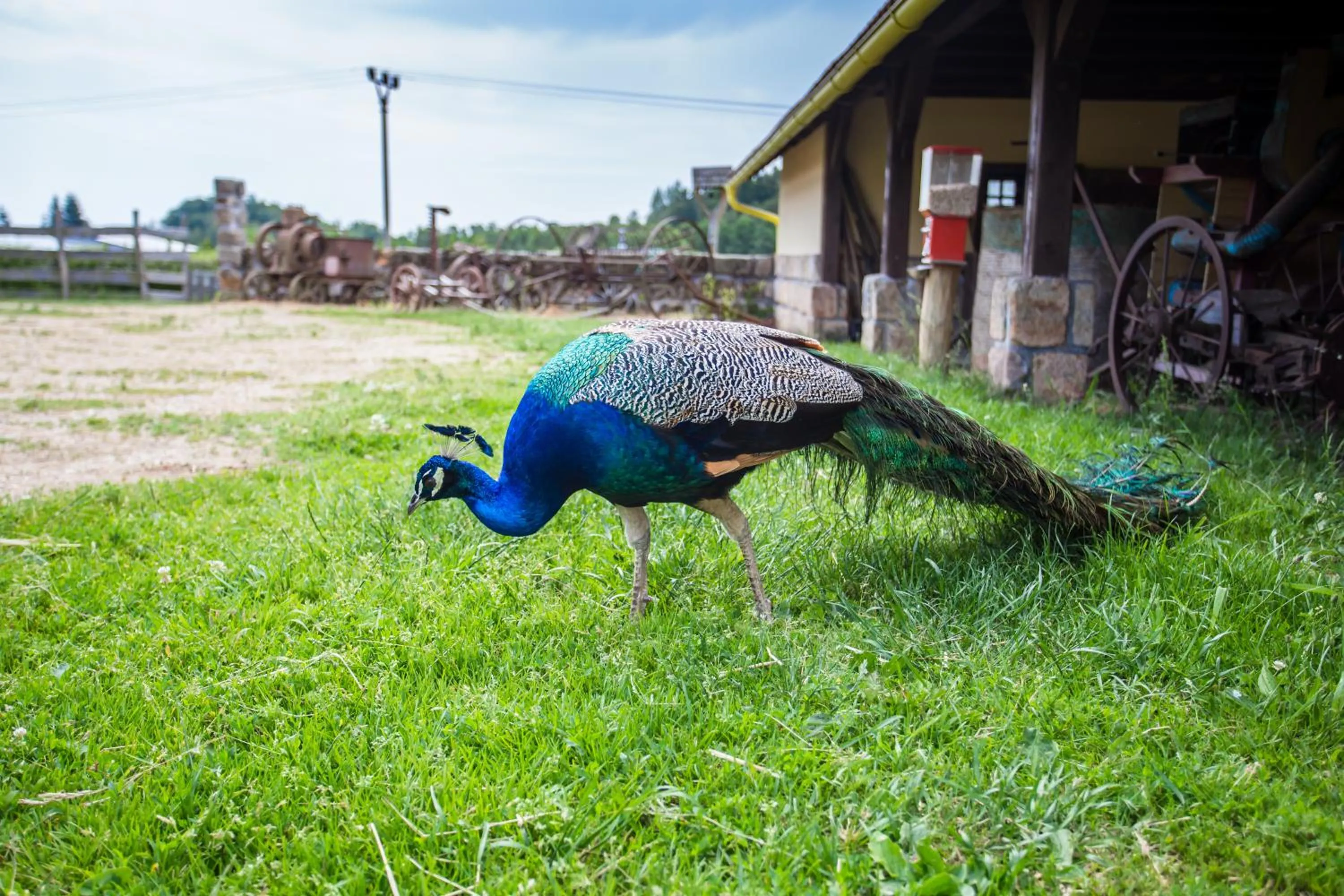 Facade/entrance in Resort Malevil