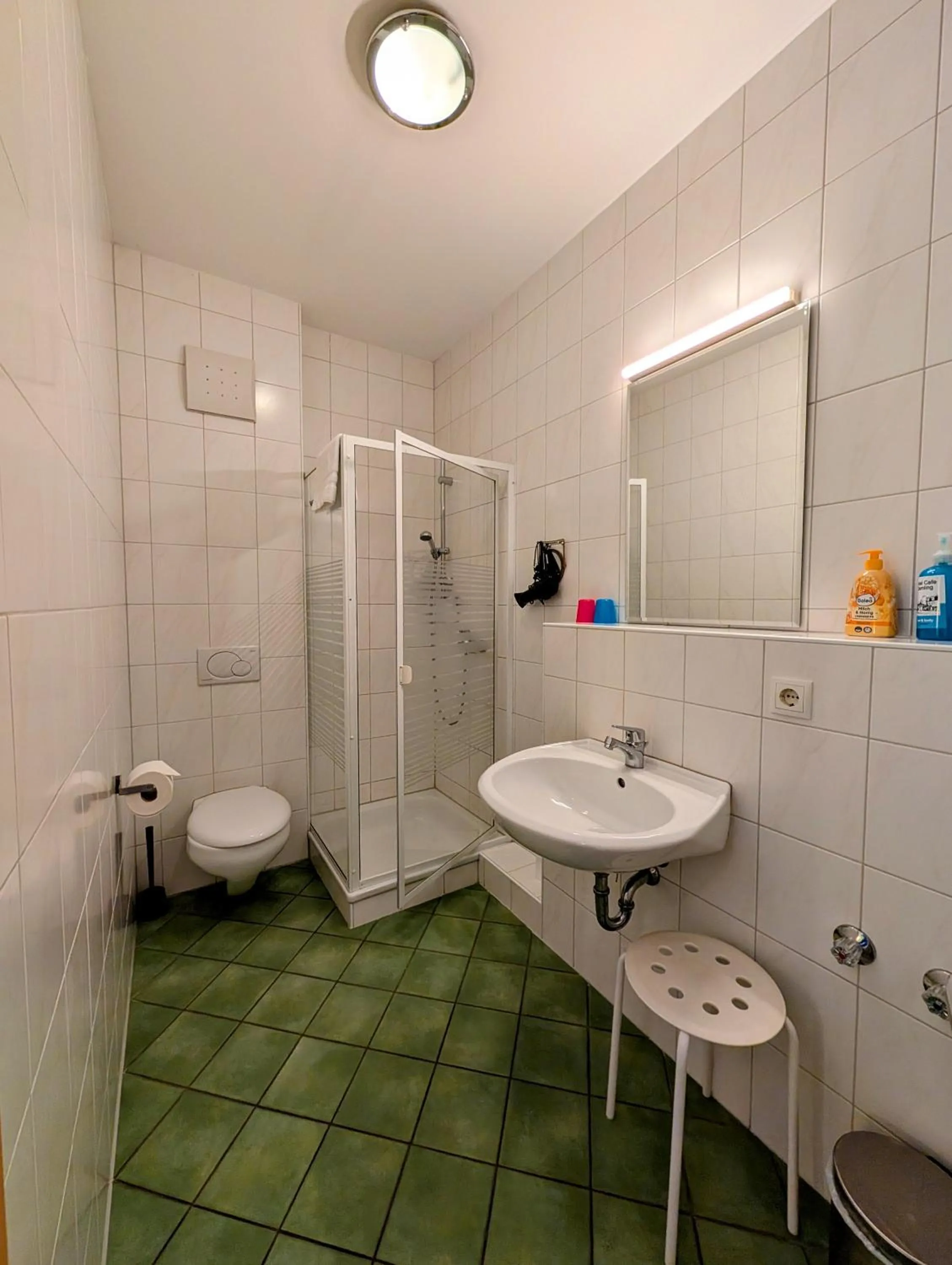 Shower in Hotel Demling