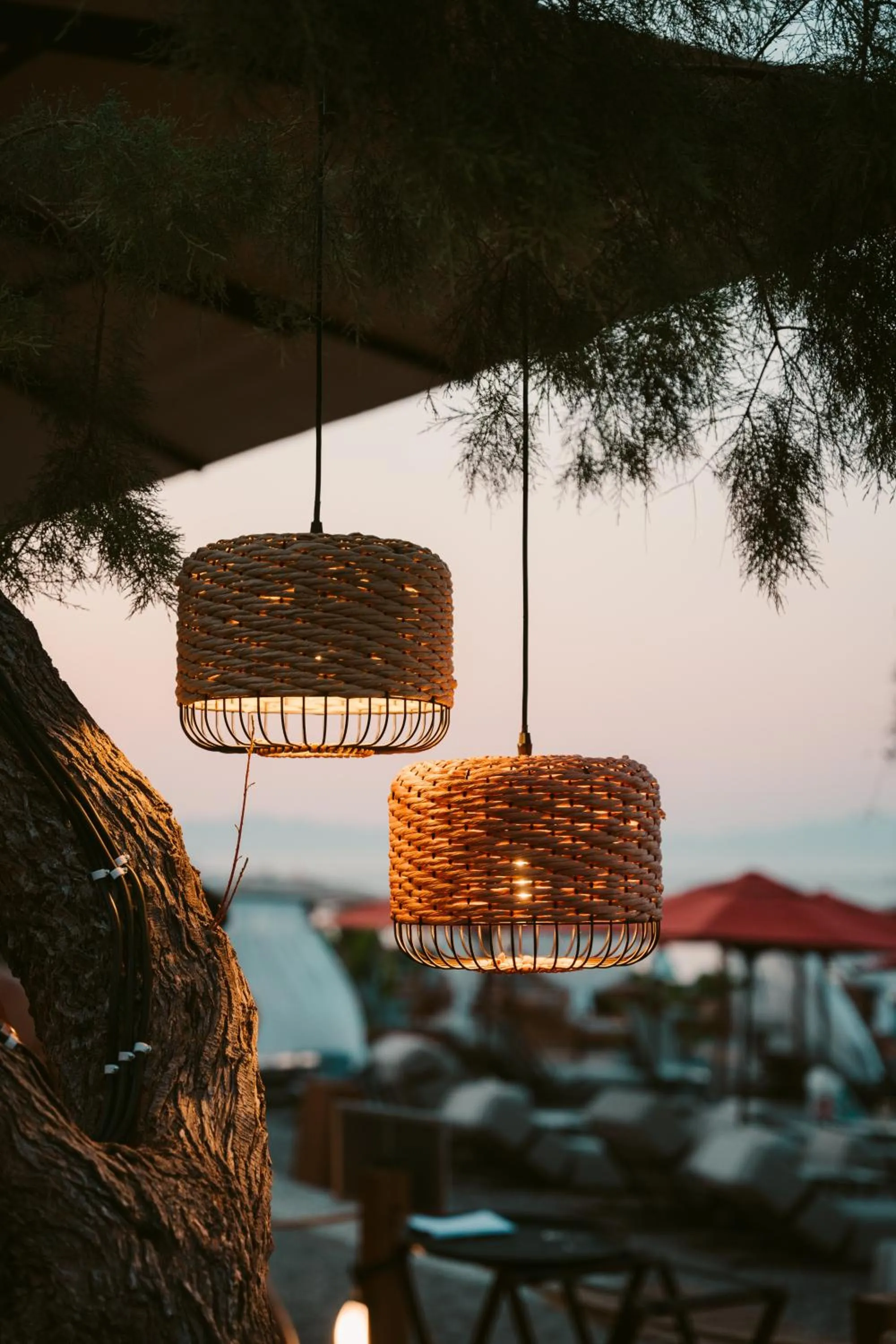 Beach in Grande Albergo Delle Rose