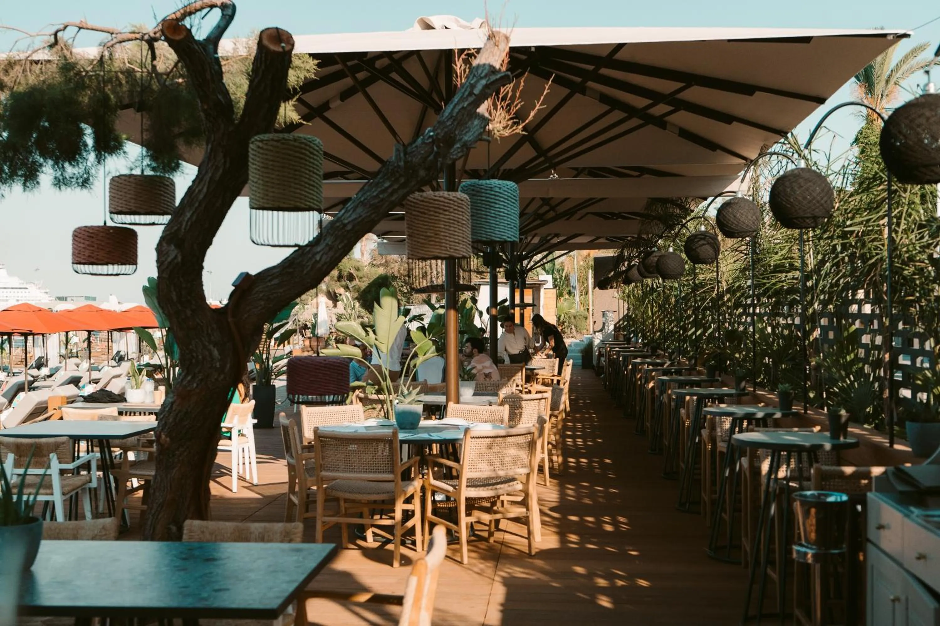 Beach in Grande Albergo Delle Rose