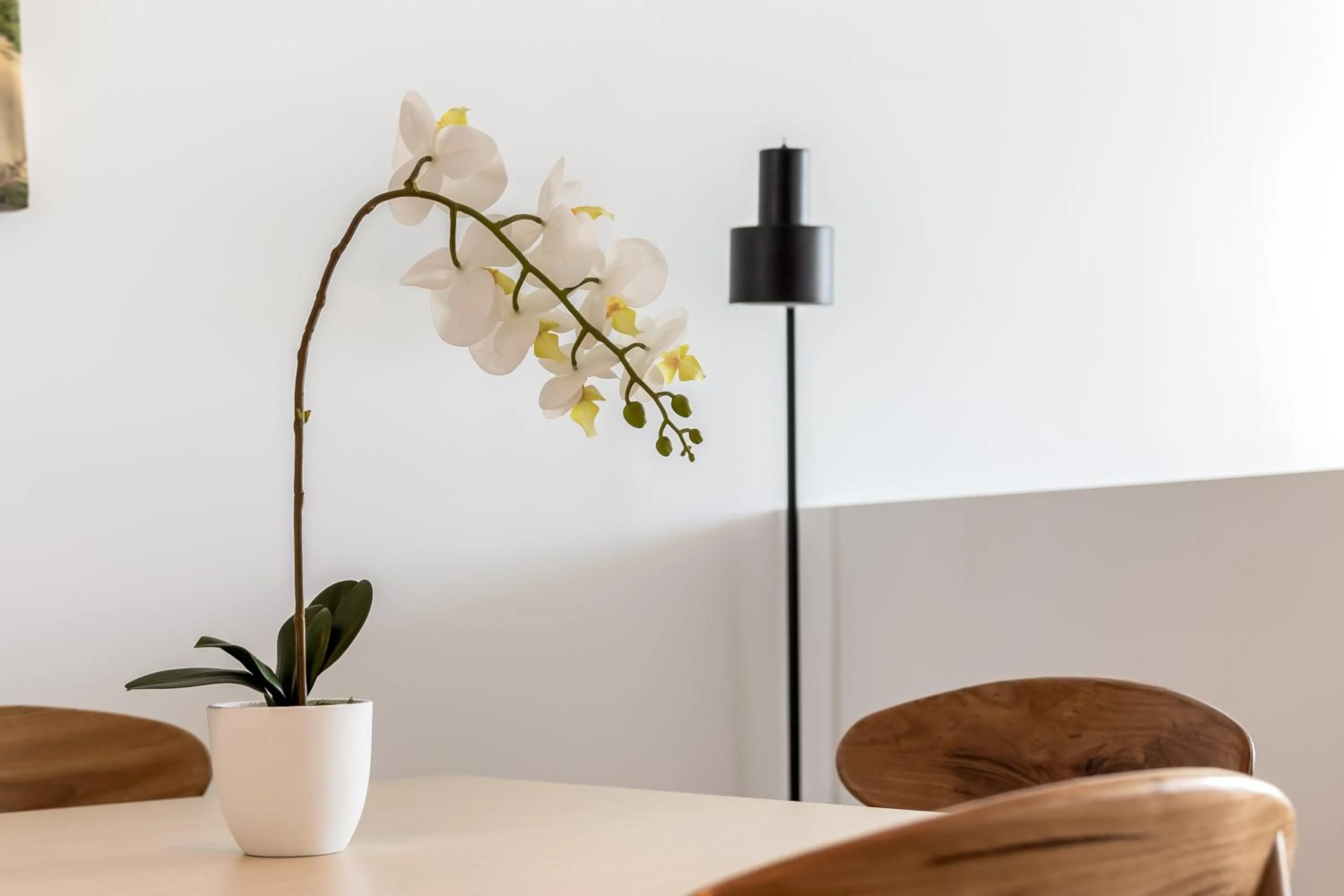 Oaks Nelson Bay Lure Suites