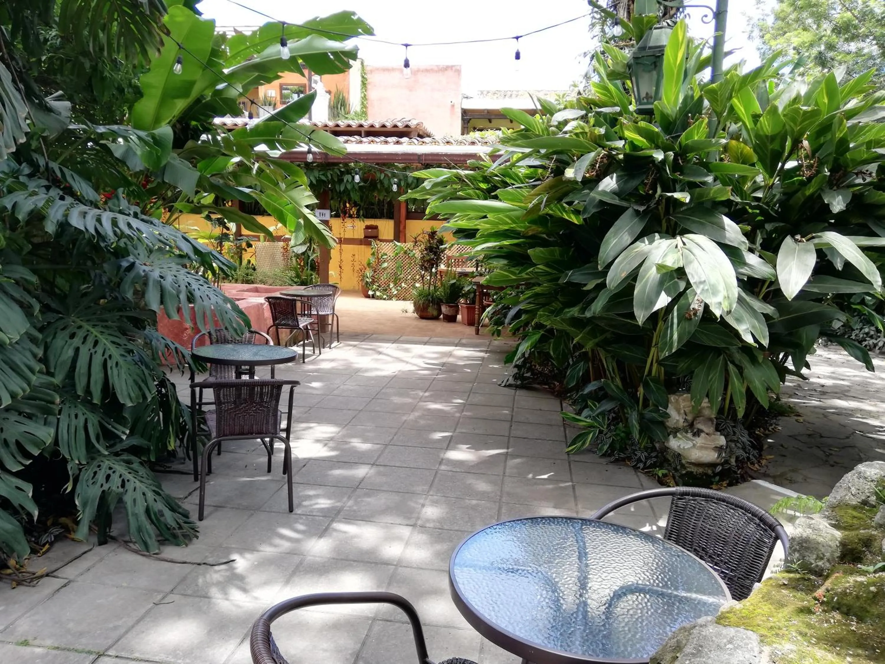 Restaurant/places to eat in Hotel Las Farolas