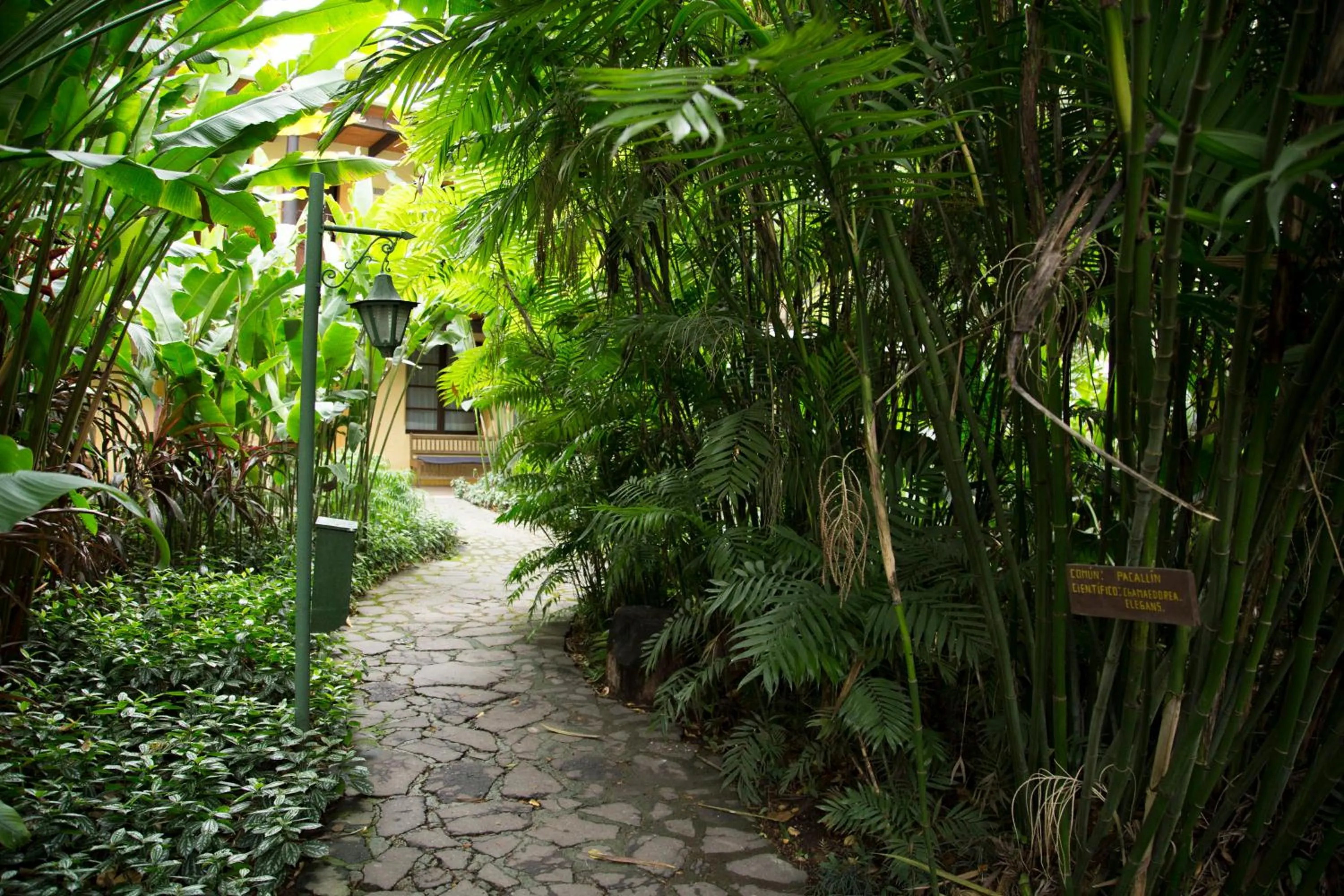 Garden in Hotel Las Farolas