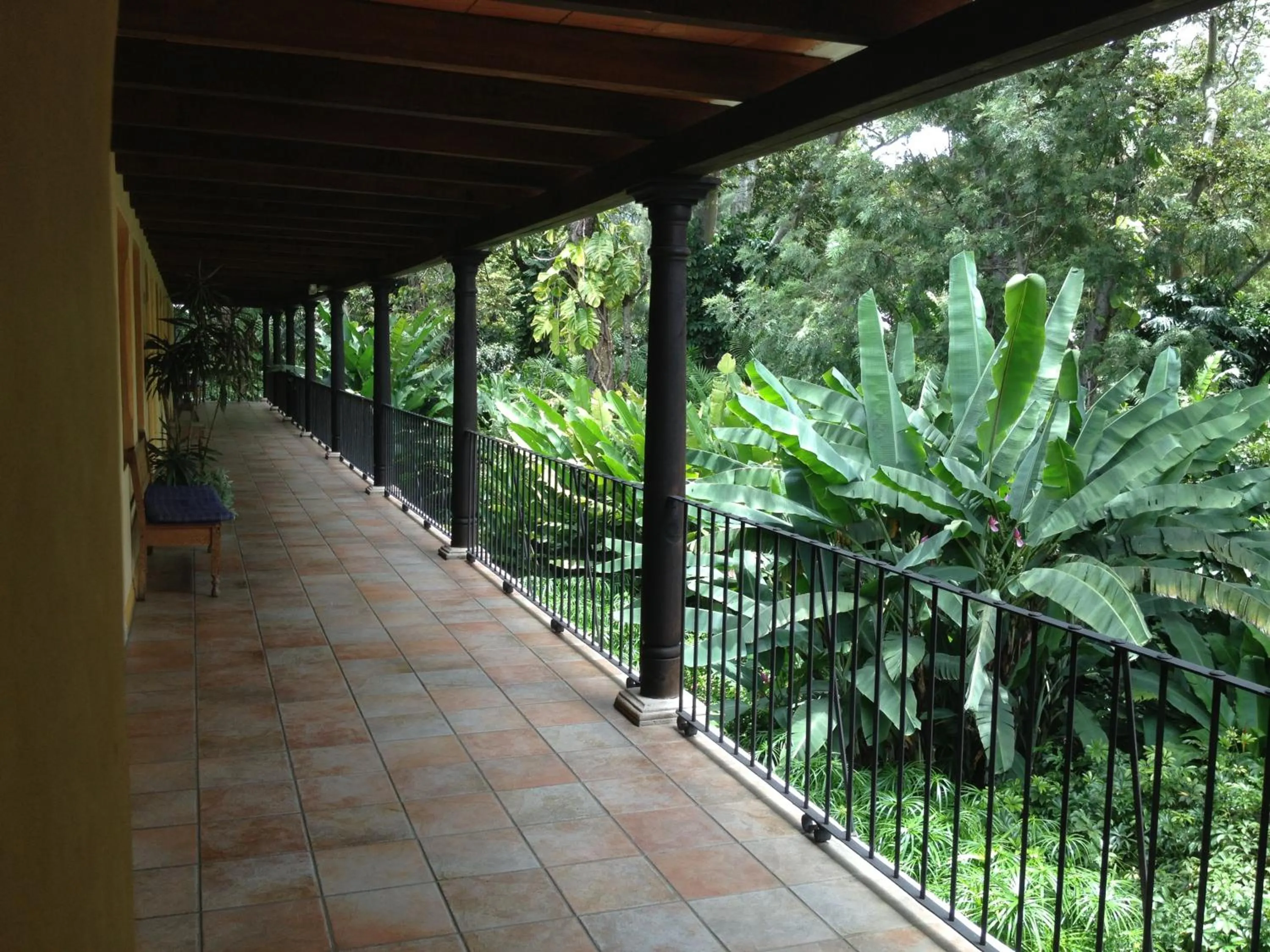 Balcony/Terrace in Hotel Las Farolas