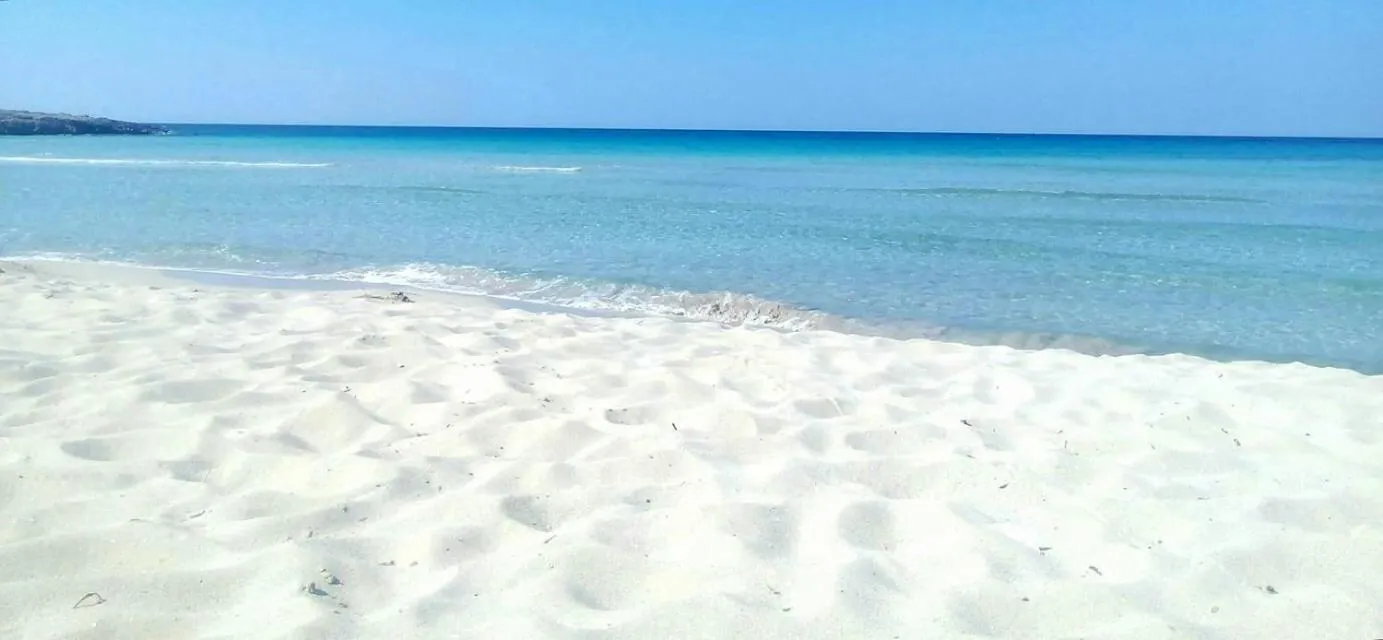 B&B Luxury Apartments