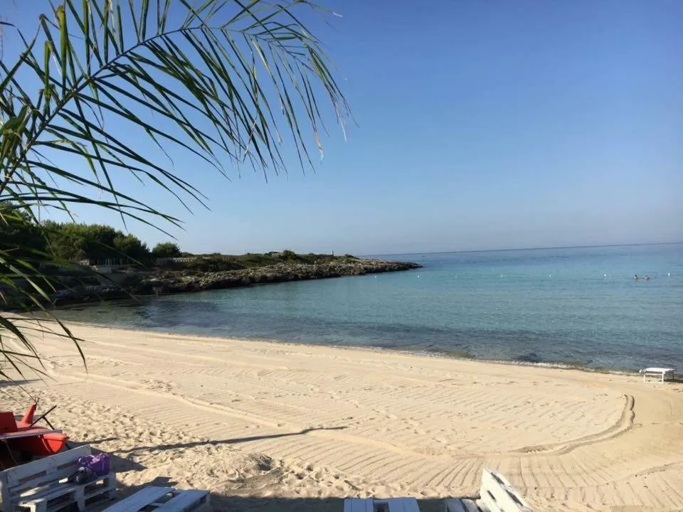 B&B Luxury Apartments